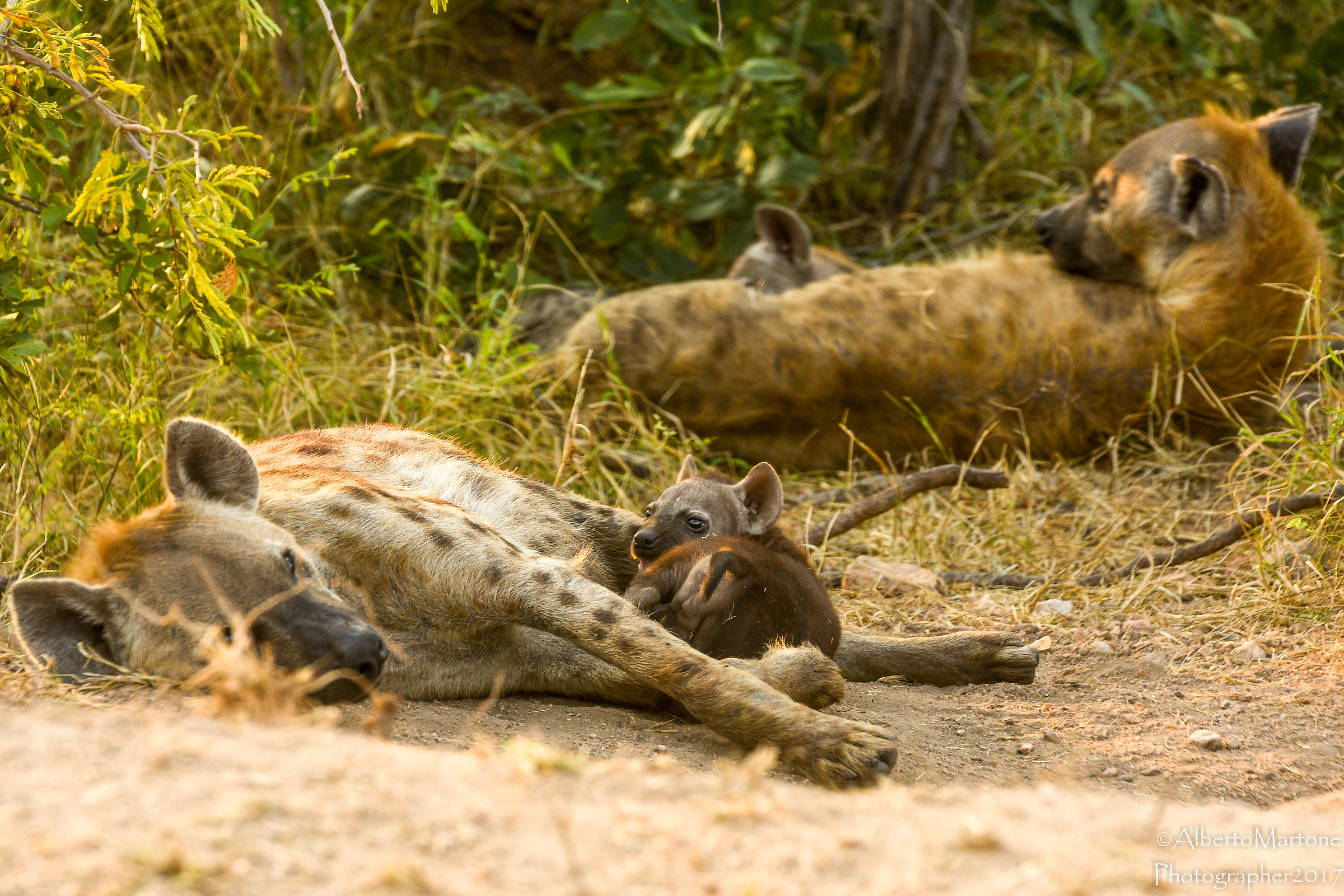 Reparto allattamento