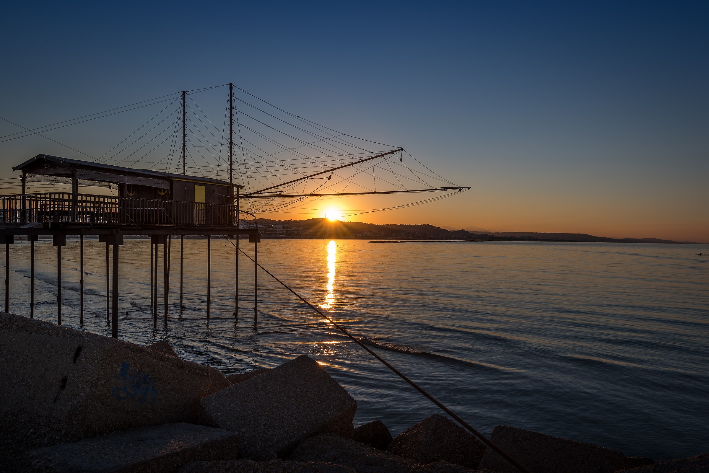 Sunset over the trunks