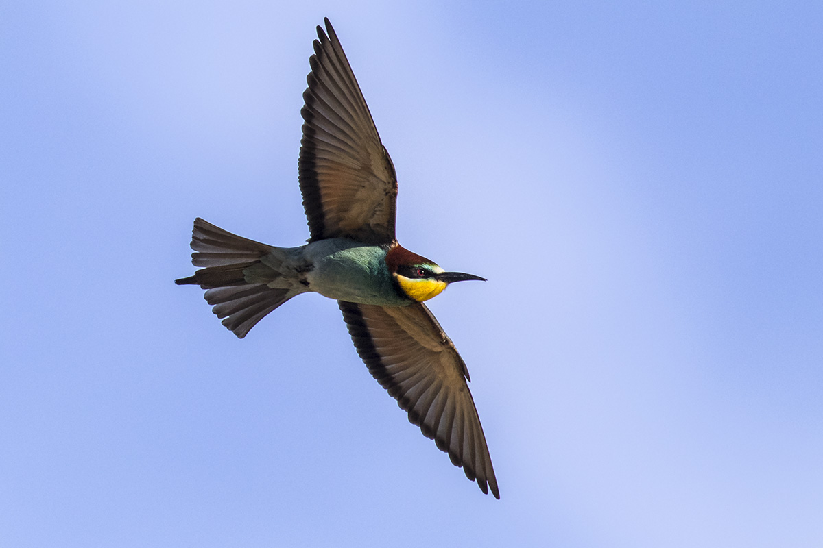 The first woman in 2017