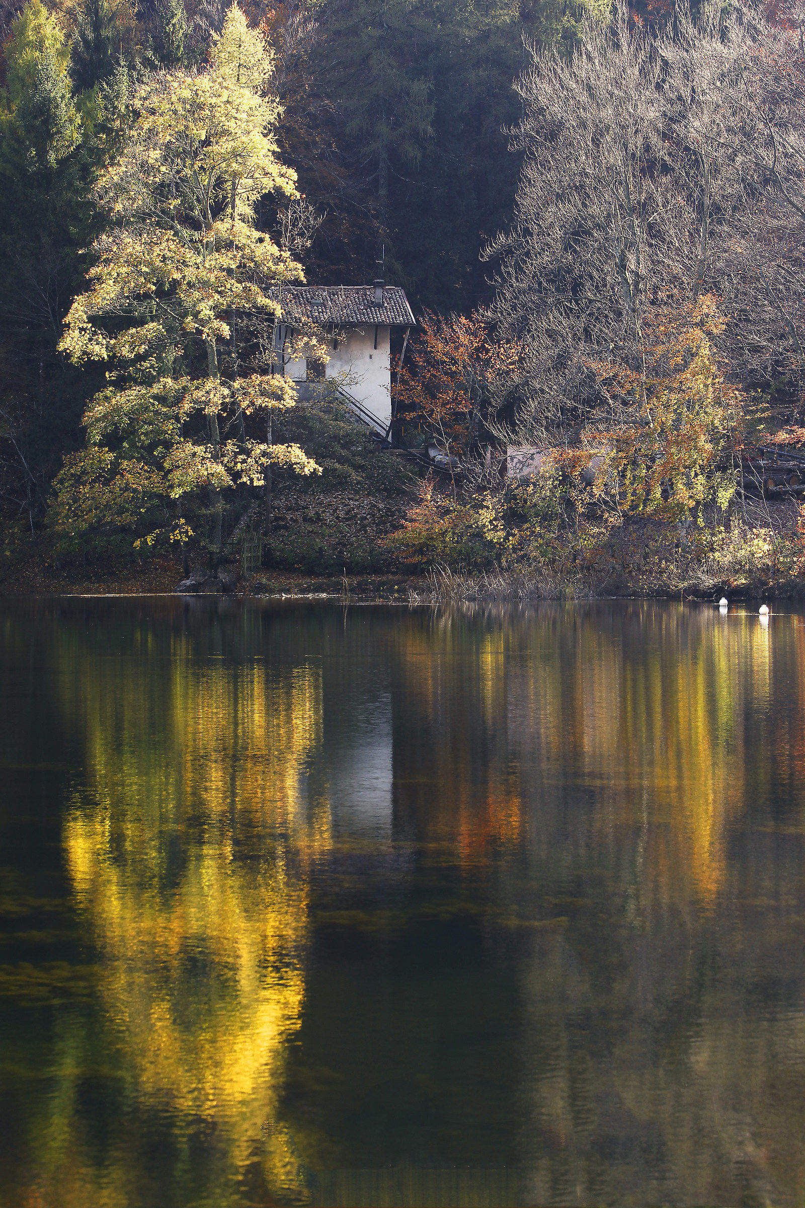 Another image of the same lake
