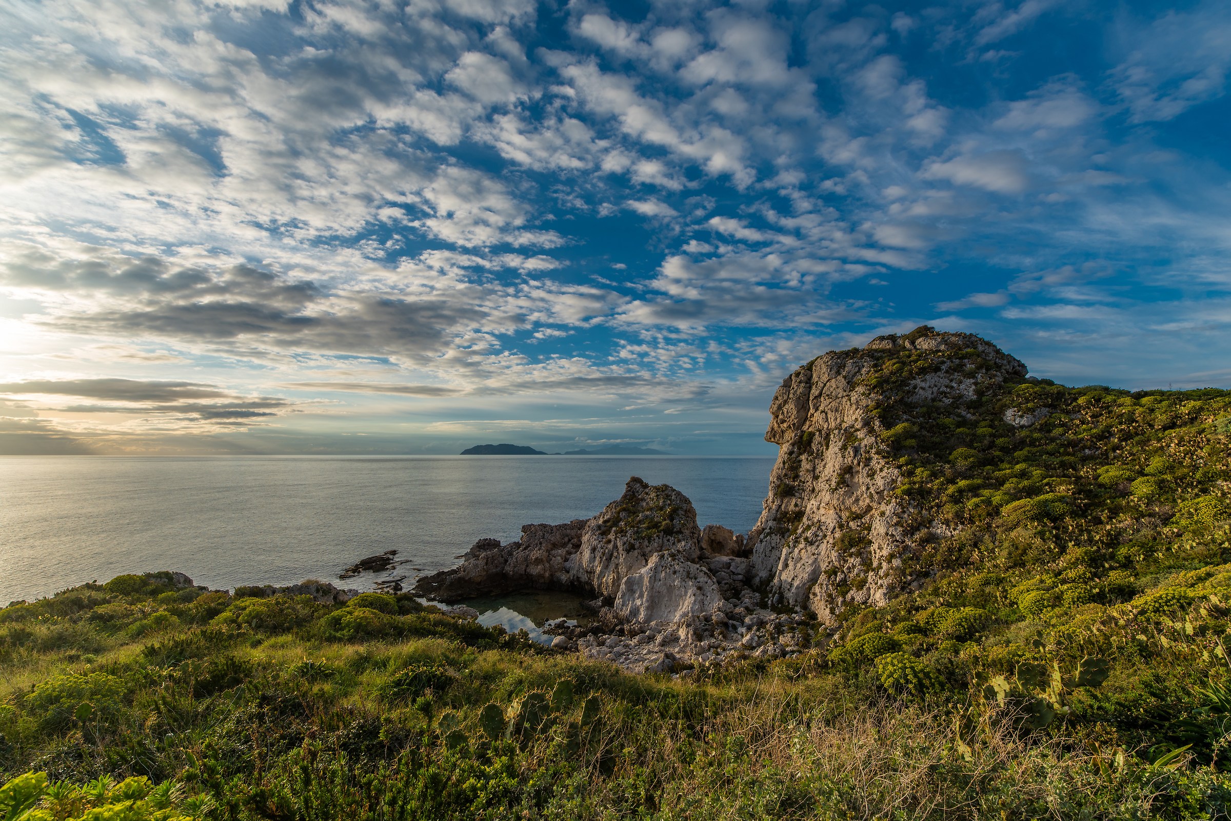 Puddles of Venus (Milazzo)