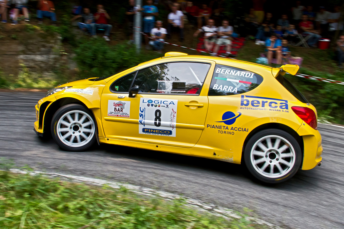 Peugeot 207 Rally gomitolo di lana
