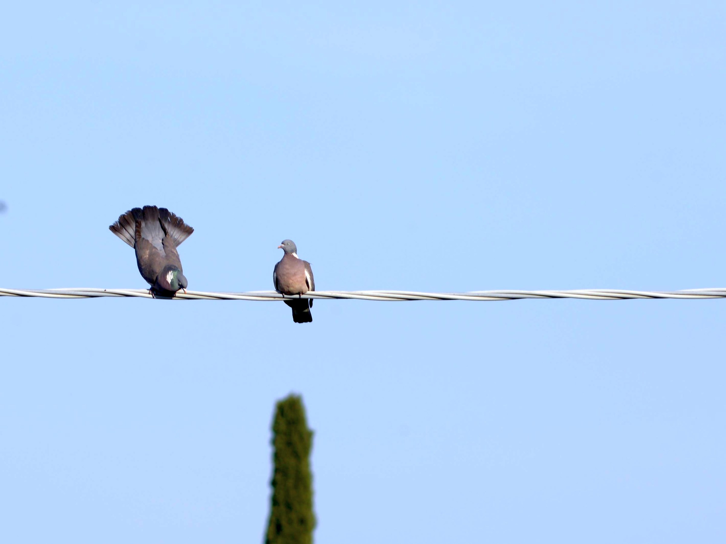 Hey, but that's a queue?