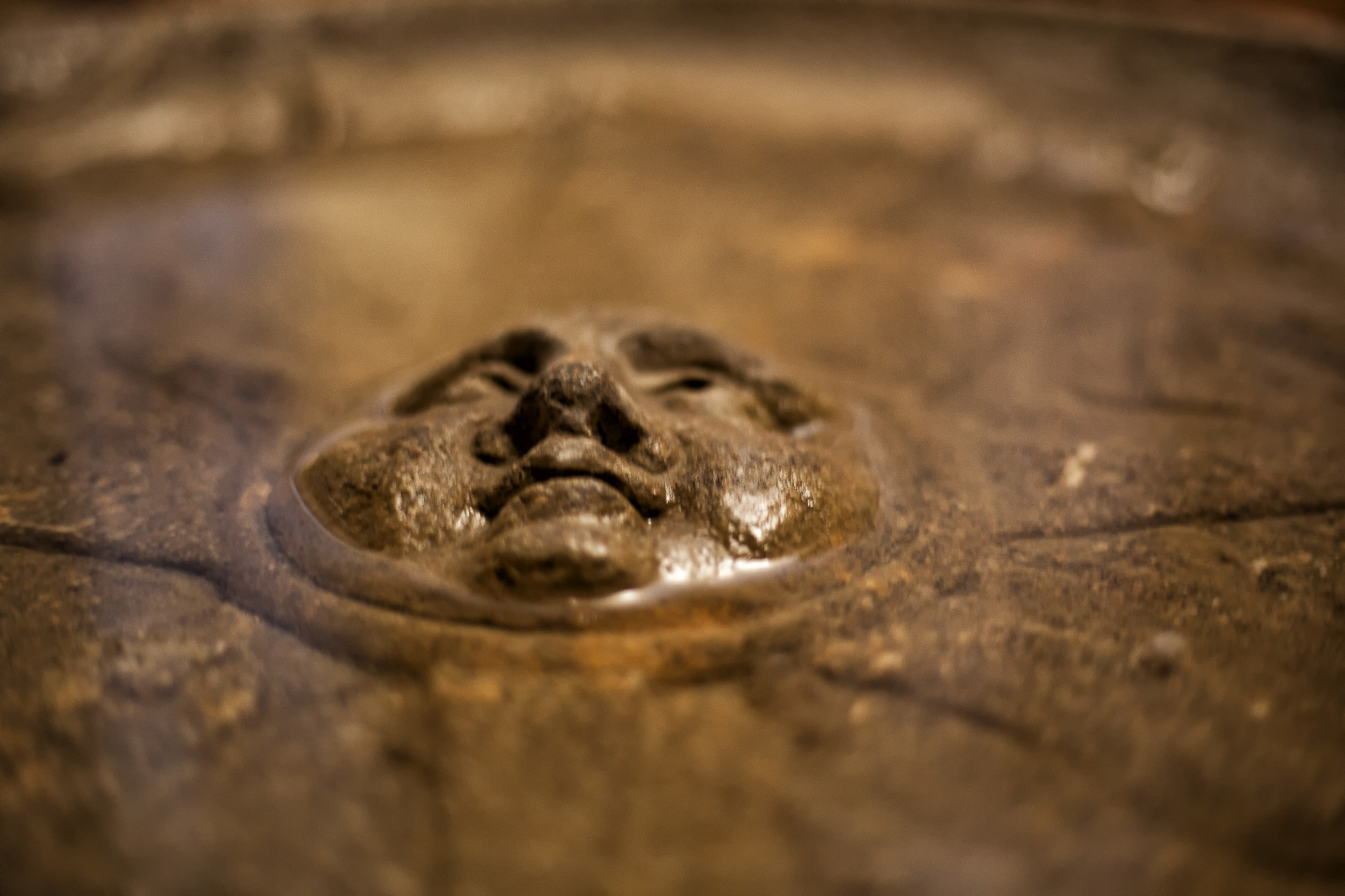 Aquasantiera xiii century particular