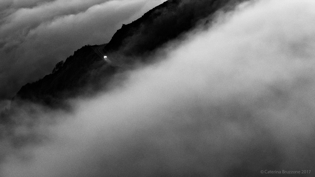 Fari nella nebbia...