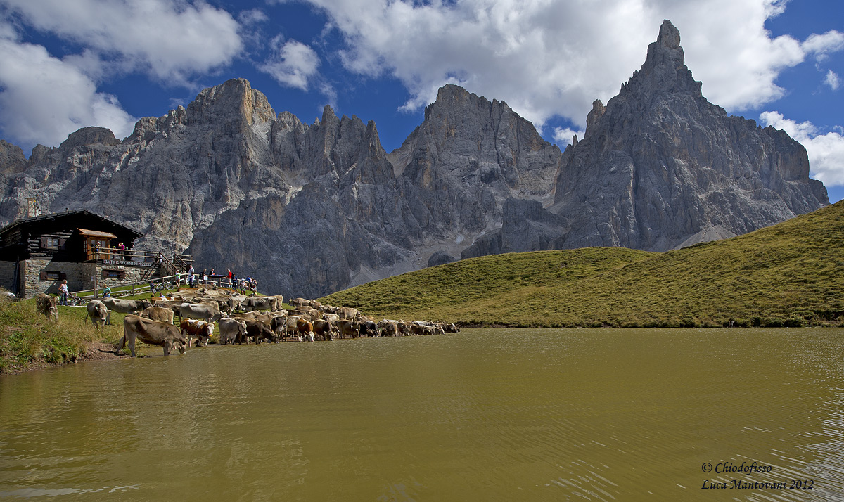 Baita Segantini - L'abbeverata