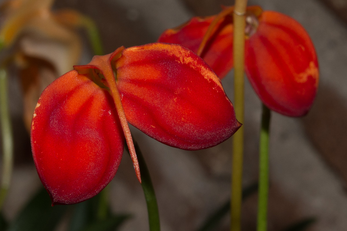 Untitled Photo