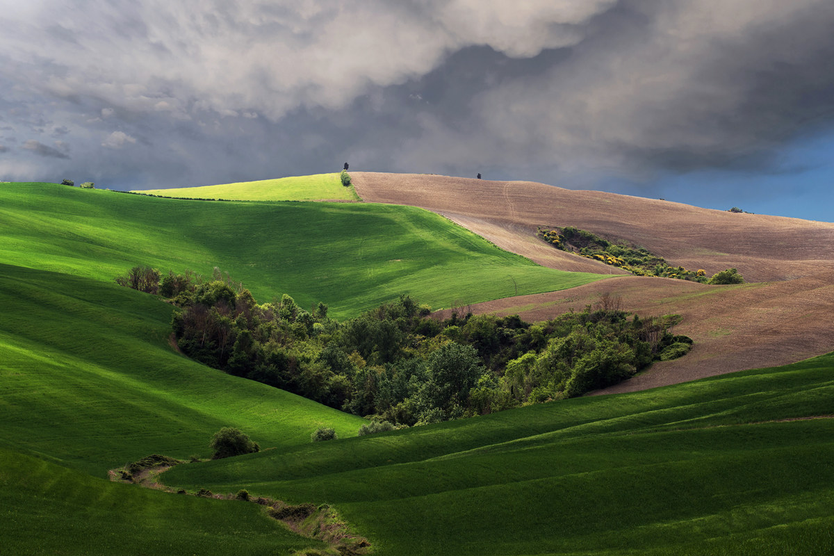 Orcia colors