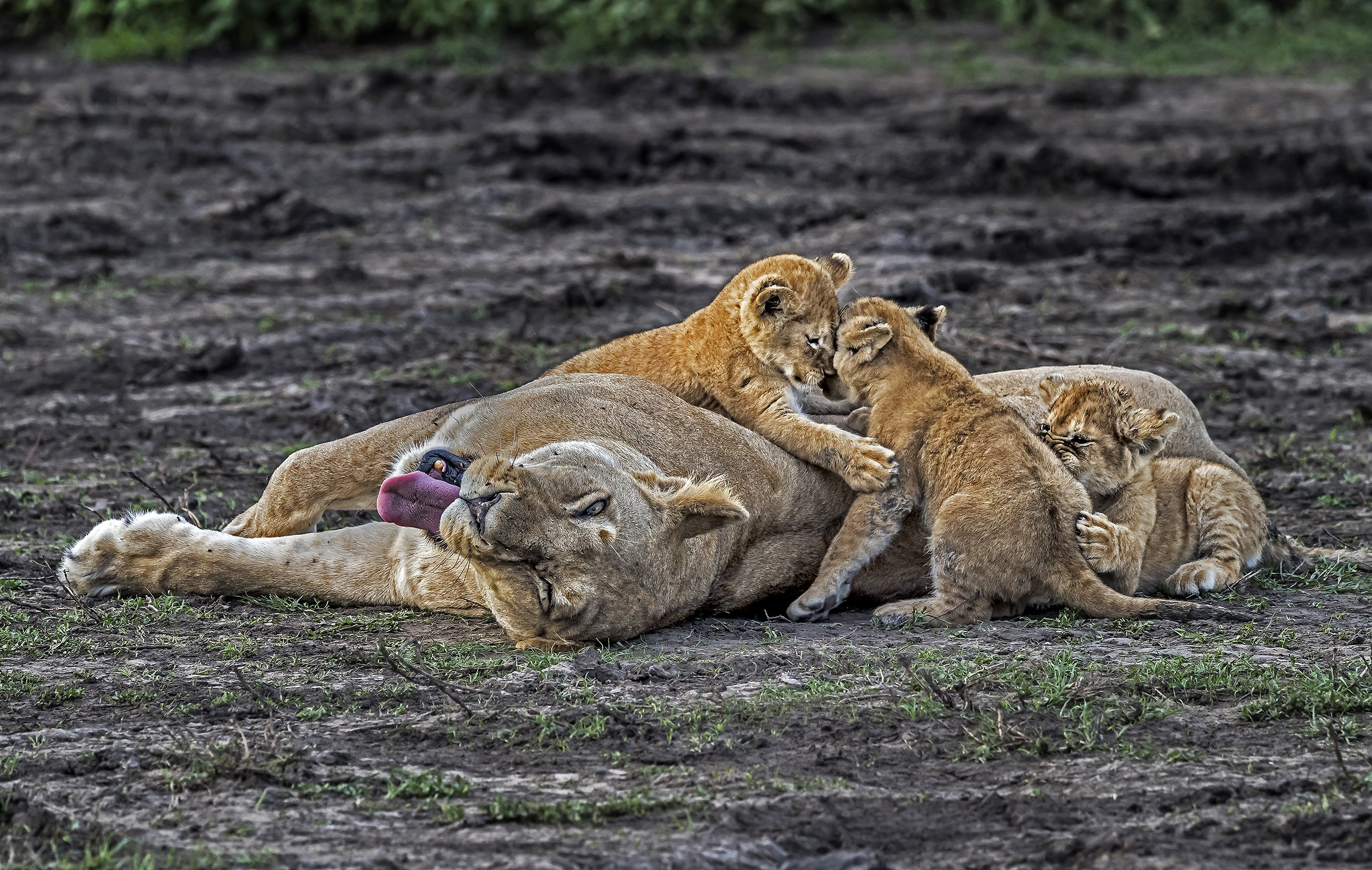 Tanzania 2017 - Sguardi