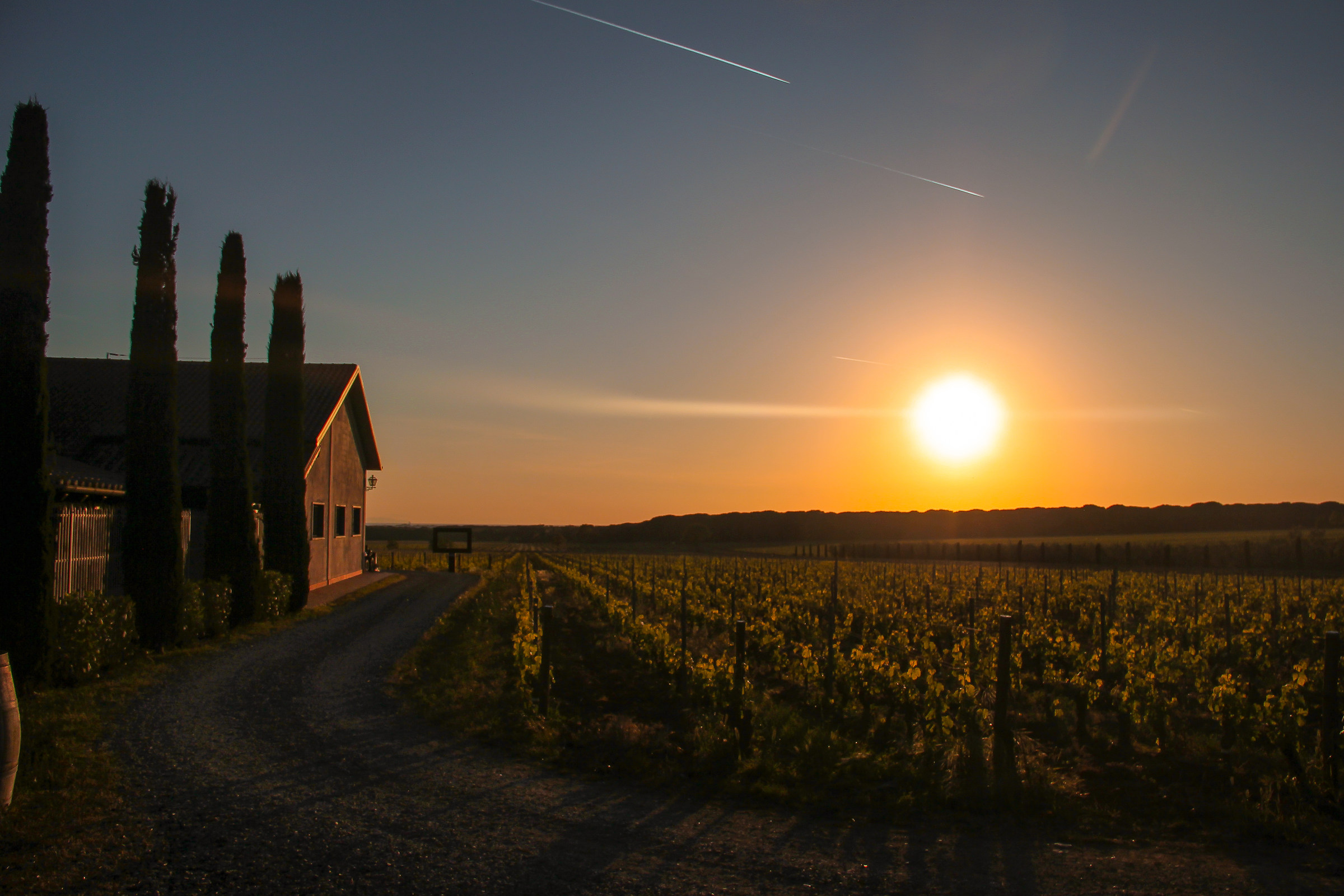 a passeggio tra le vigne