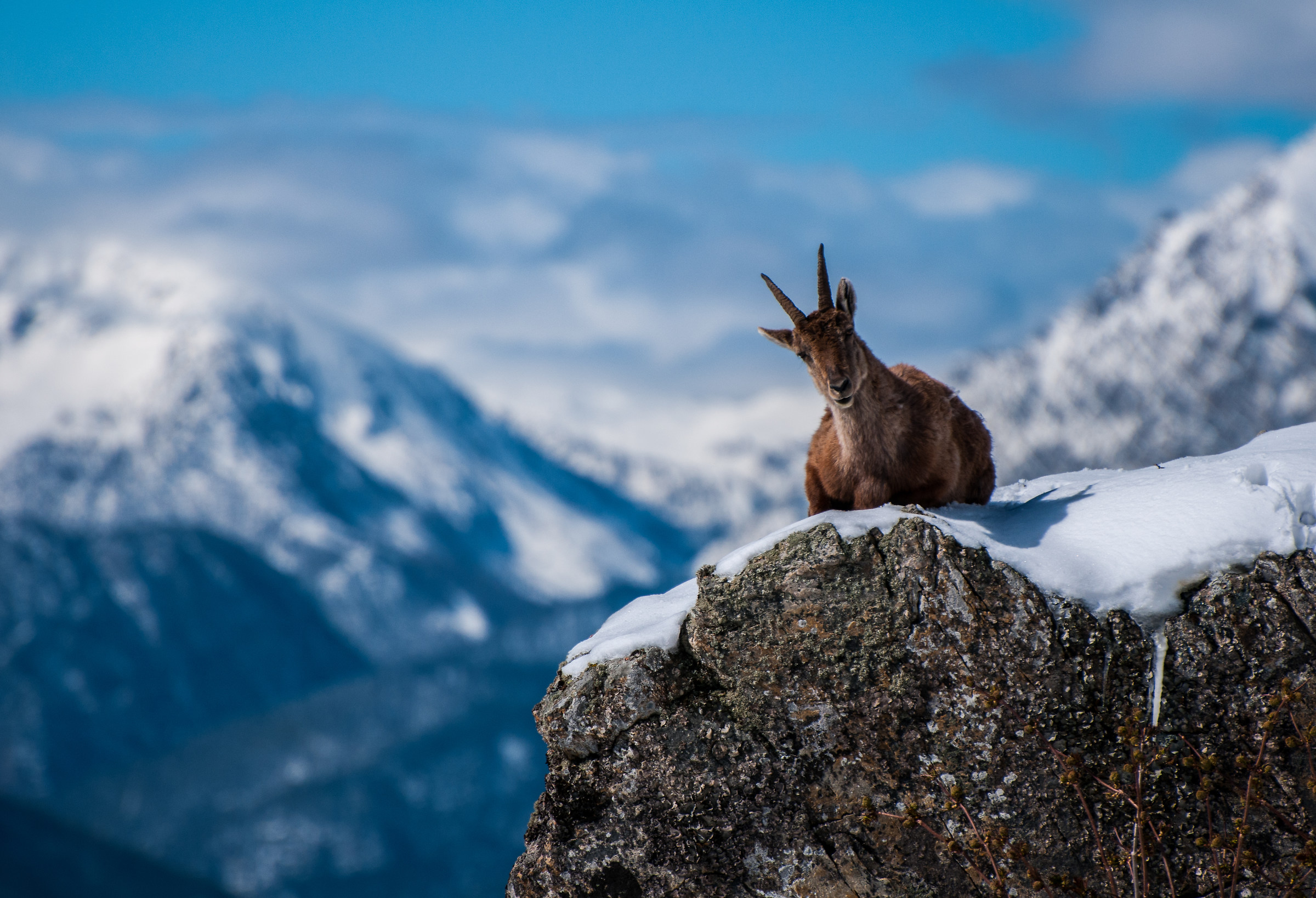 On the "Rock of the Kings"