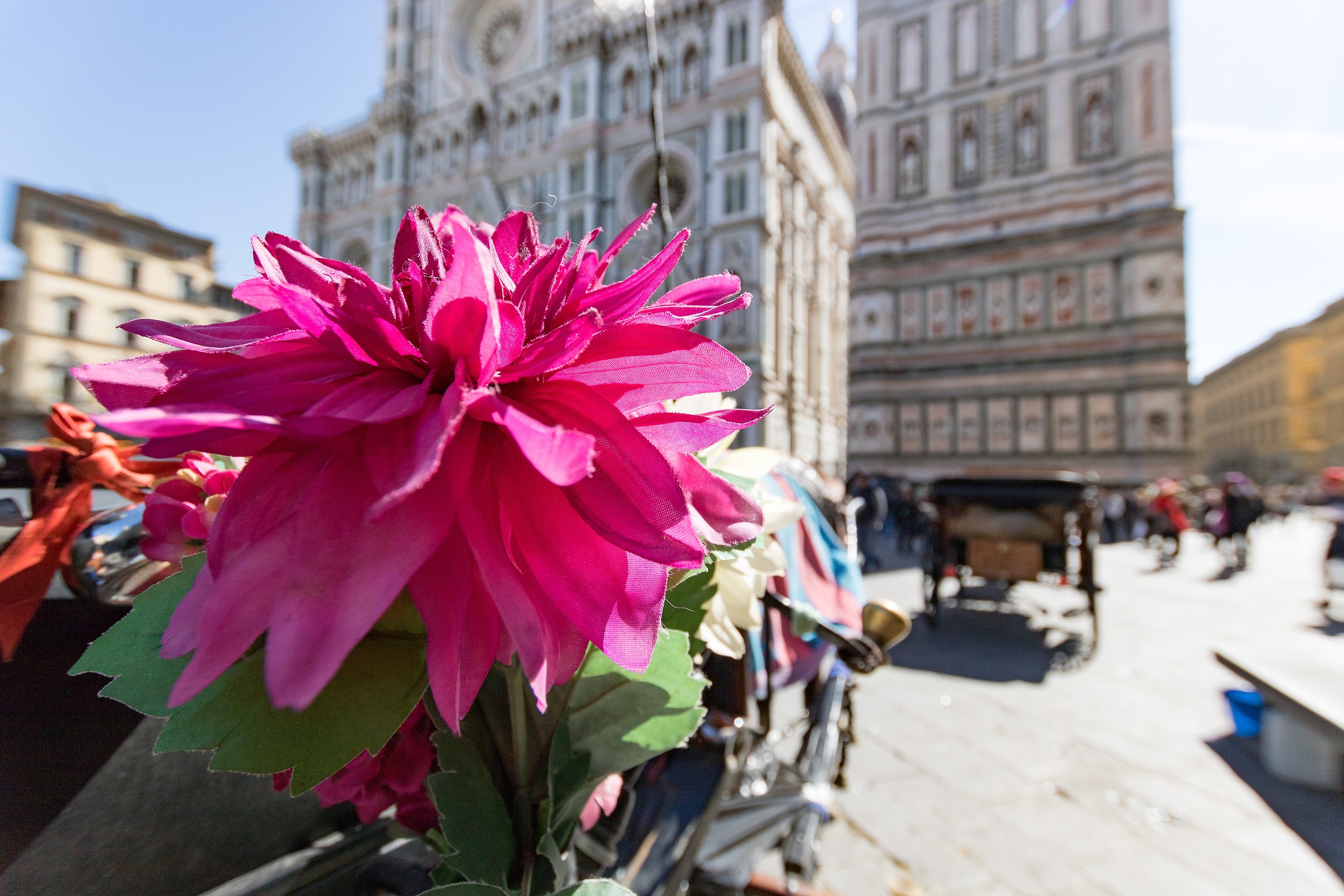 Un fiore per il cavallo