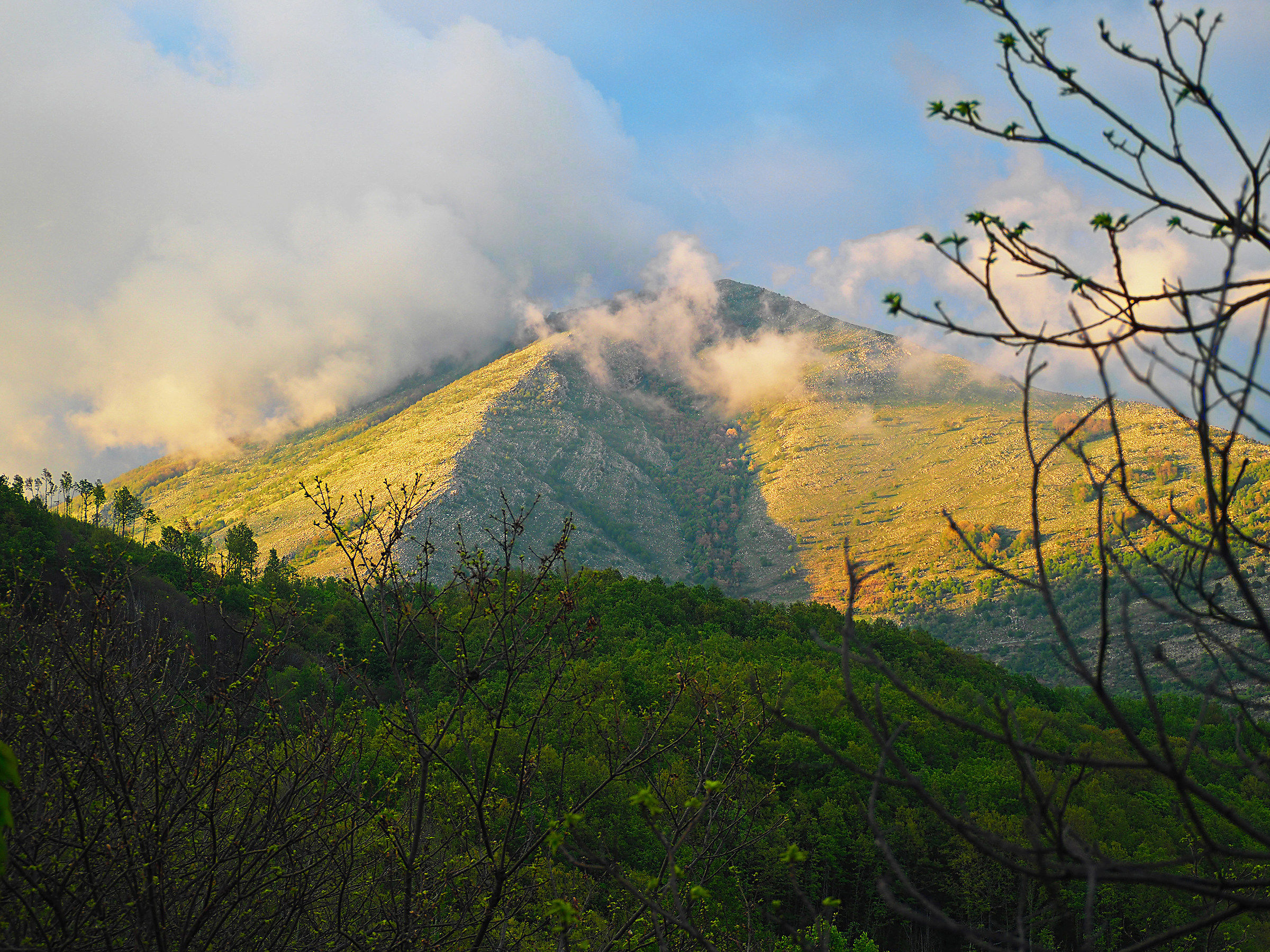 The fog and the mountain ..