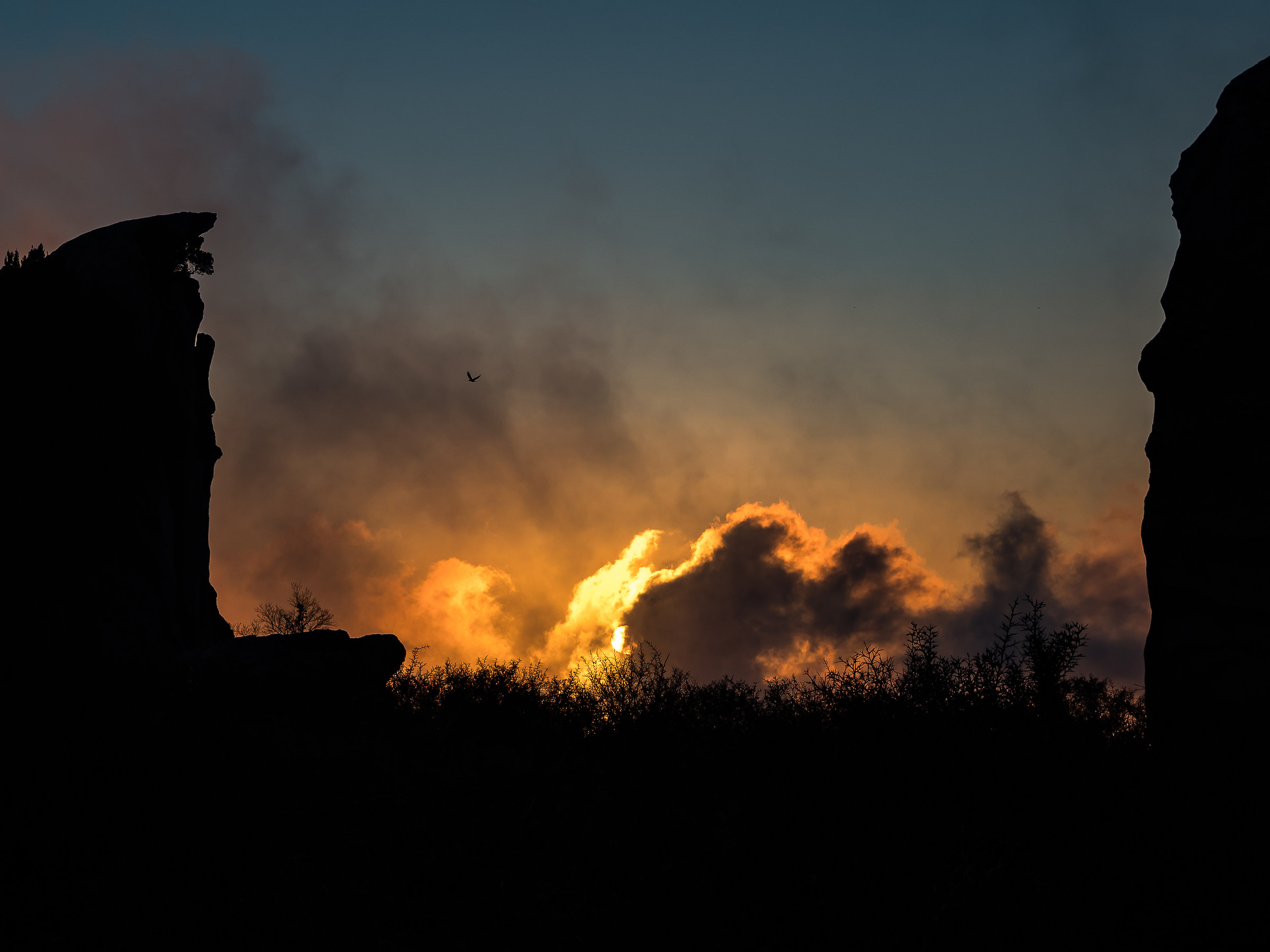 My heart's in the highlands