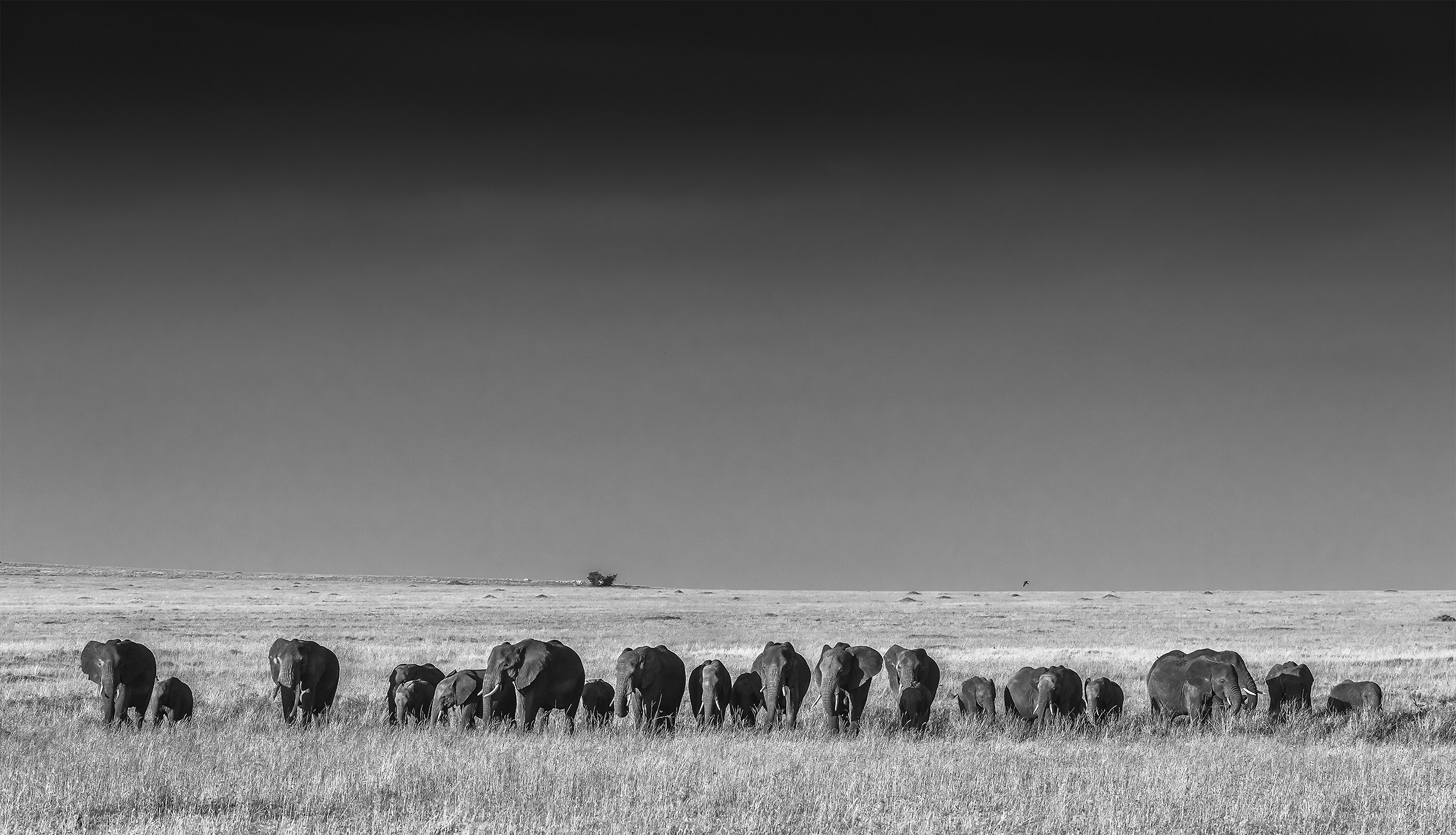 Tanzania 2017 - B&W