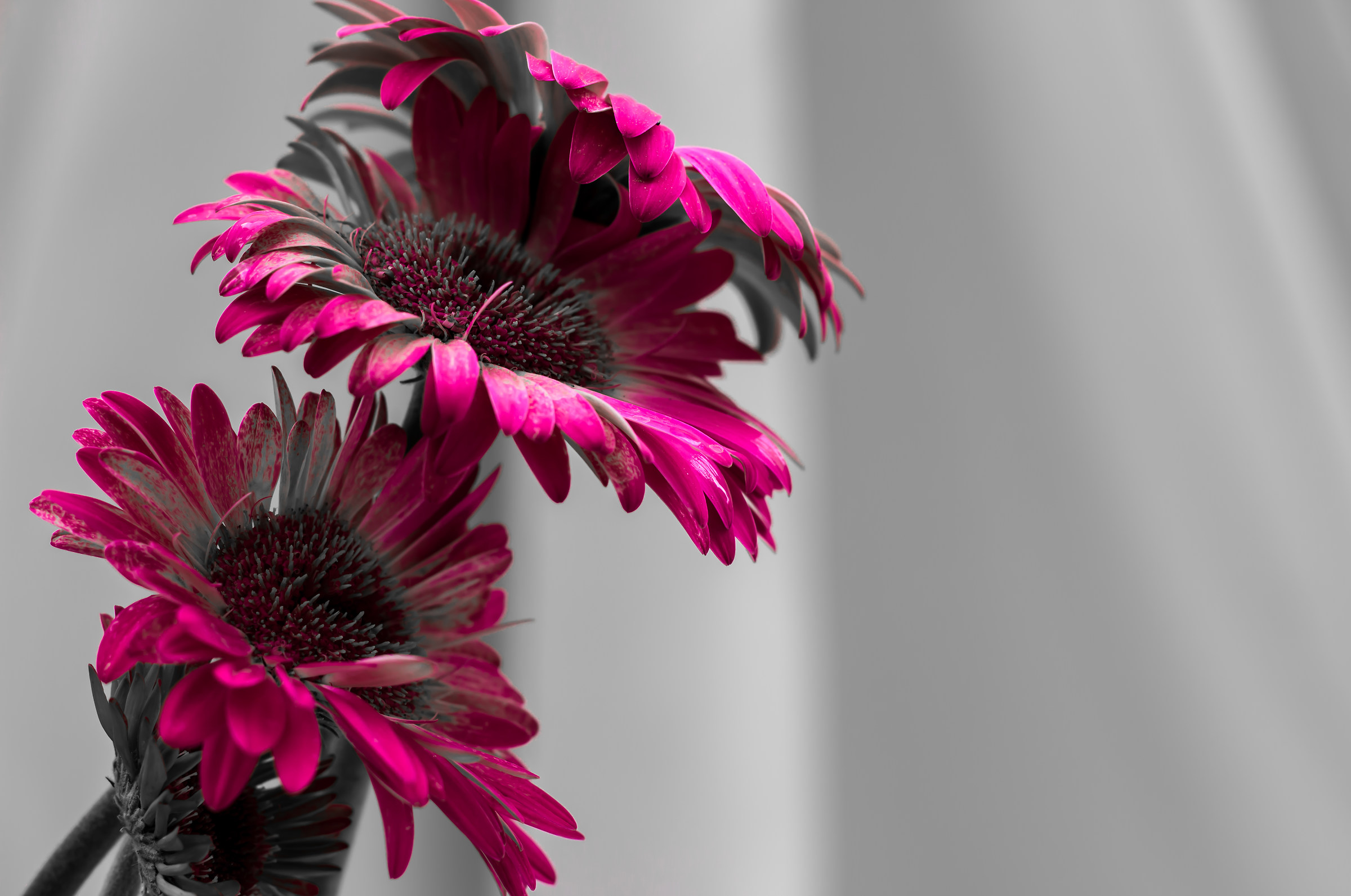 We desaturiamo a bit '