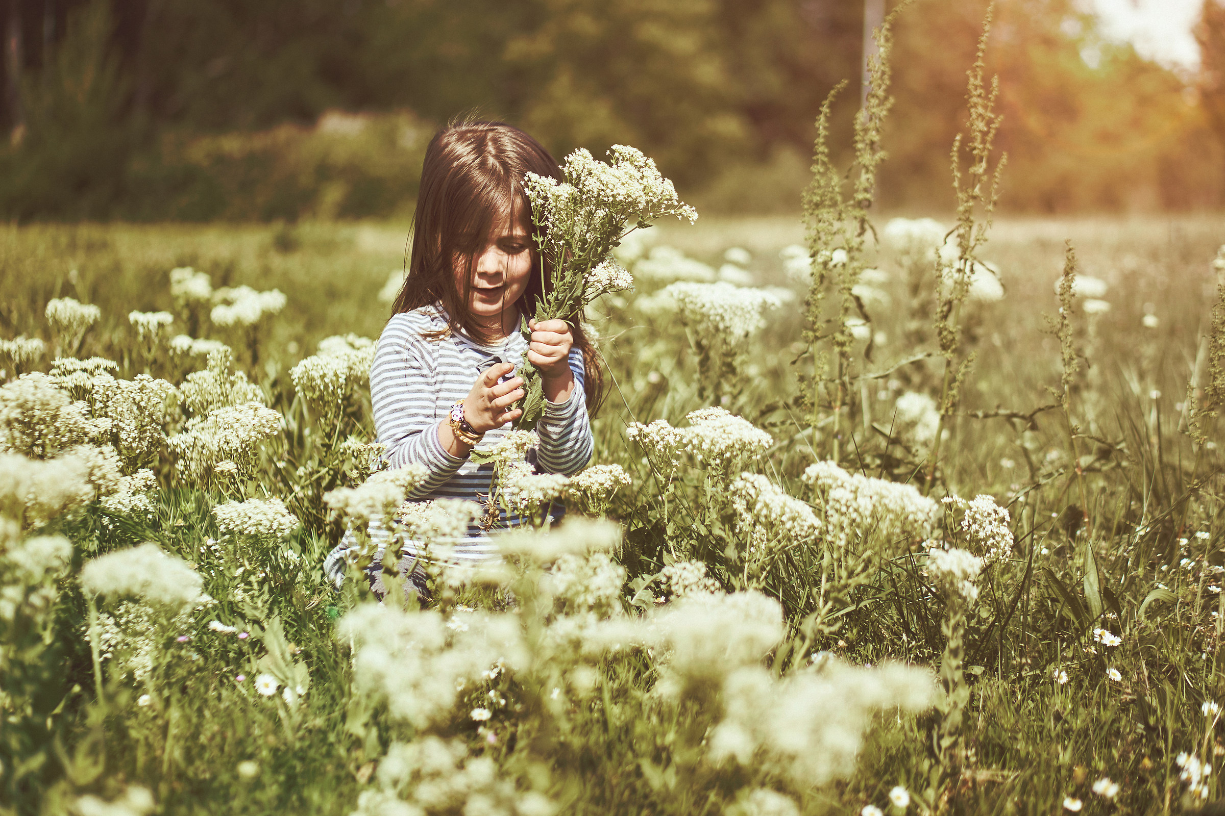 In the meadow enchanted