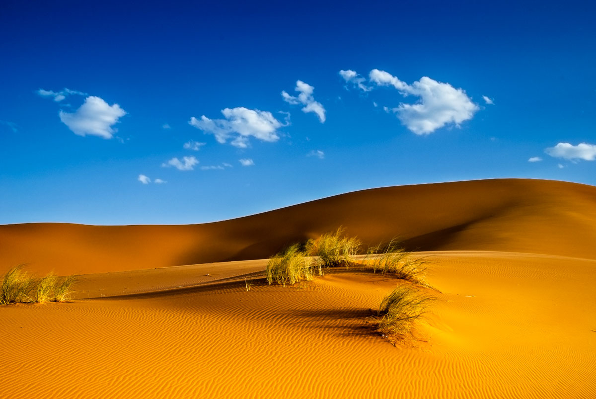 Marocco - Erg Chebbi