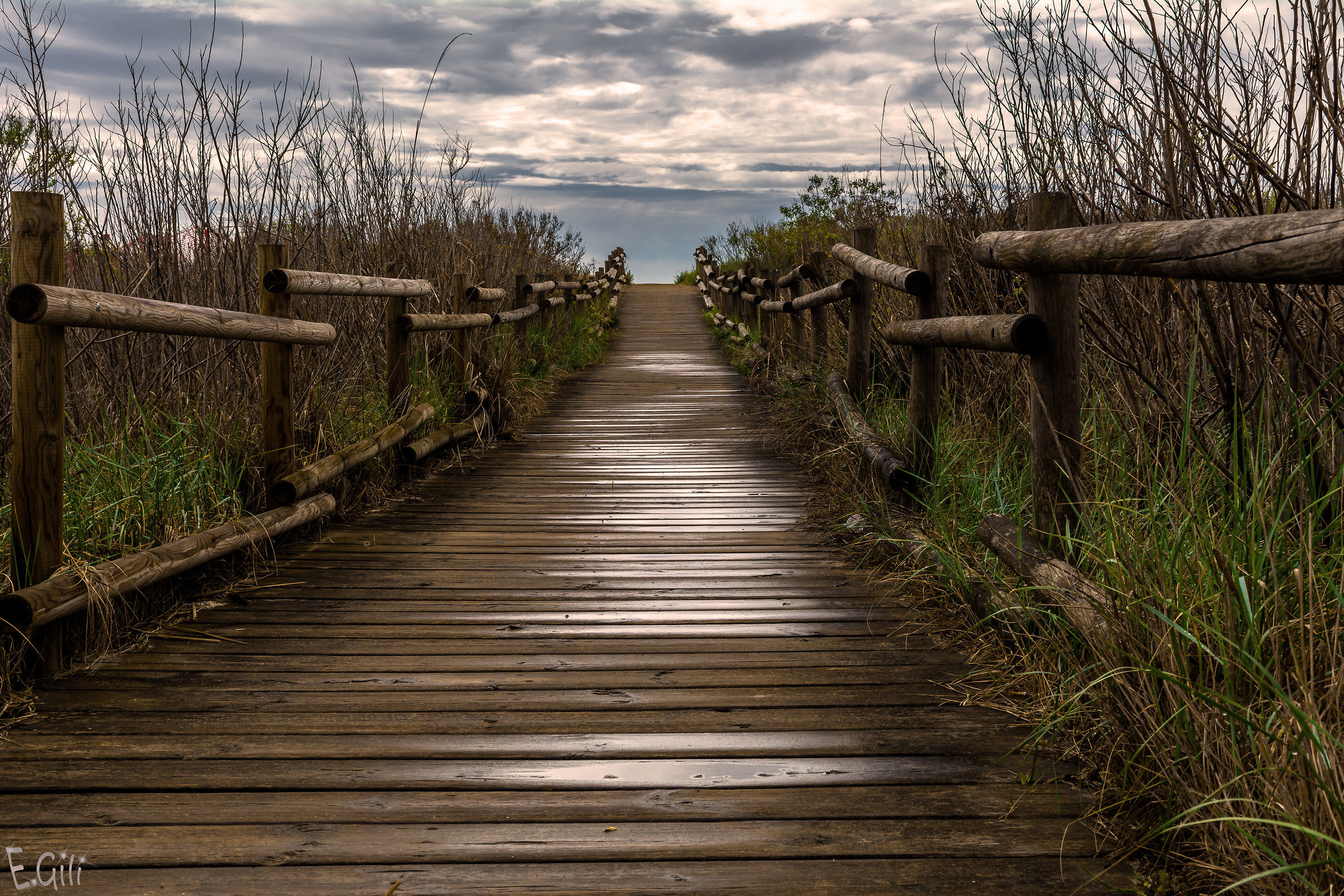 Beach Walkway