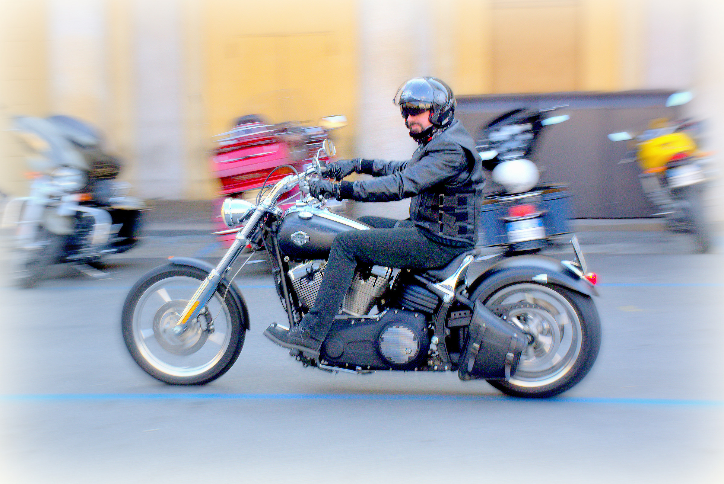 Shame not to hear the roar