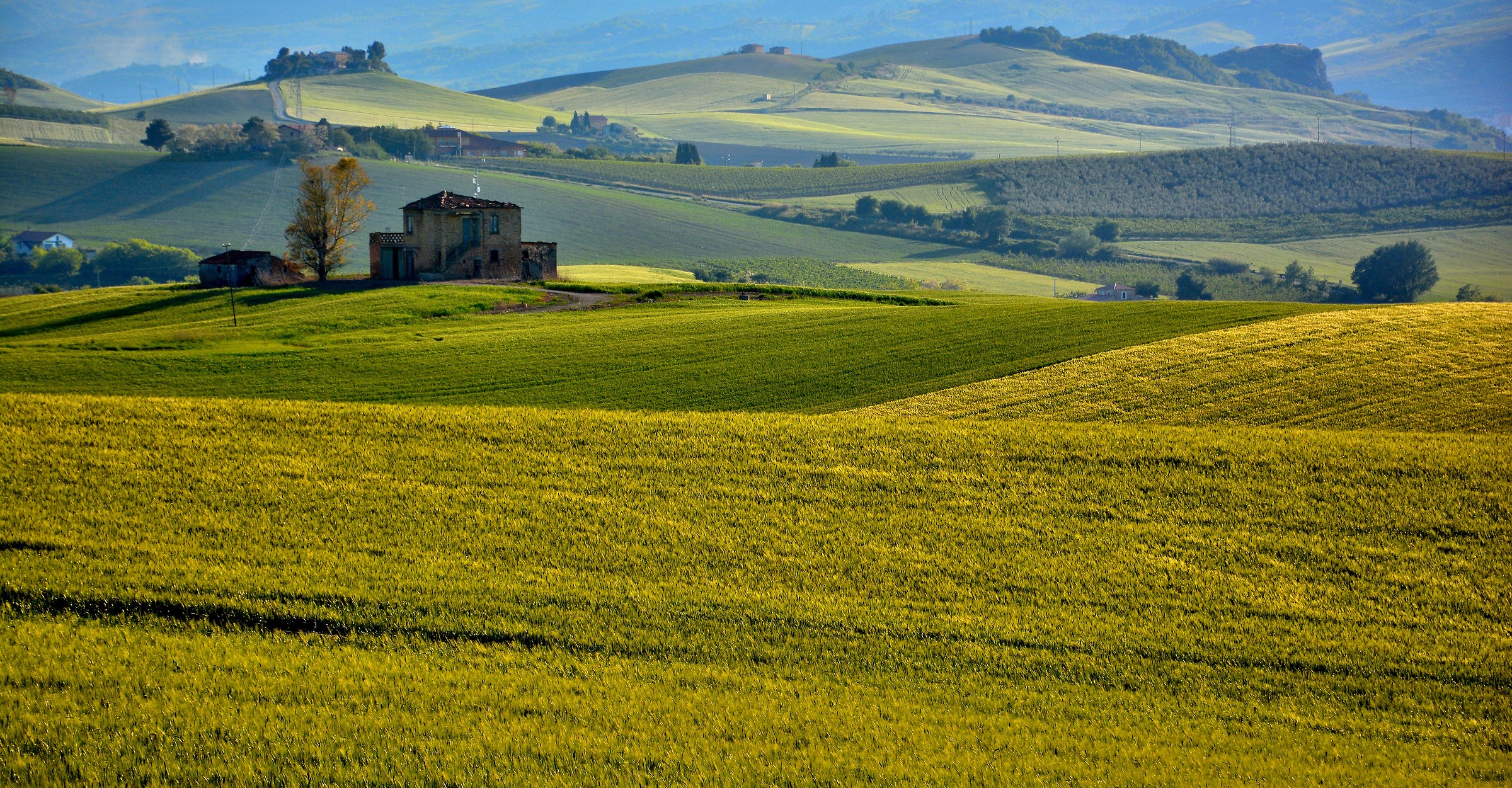 The Gold of the Evening