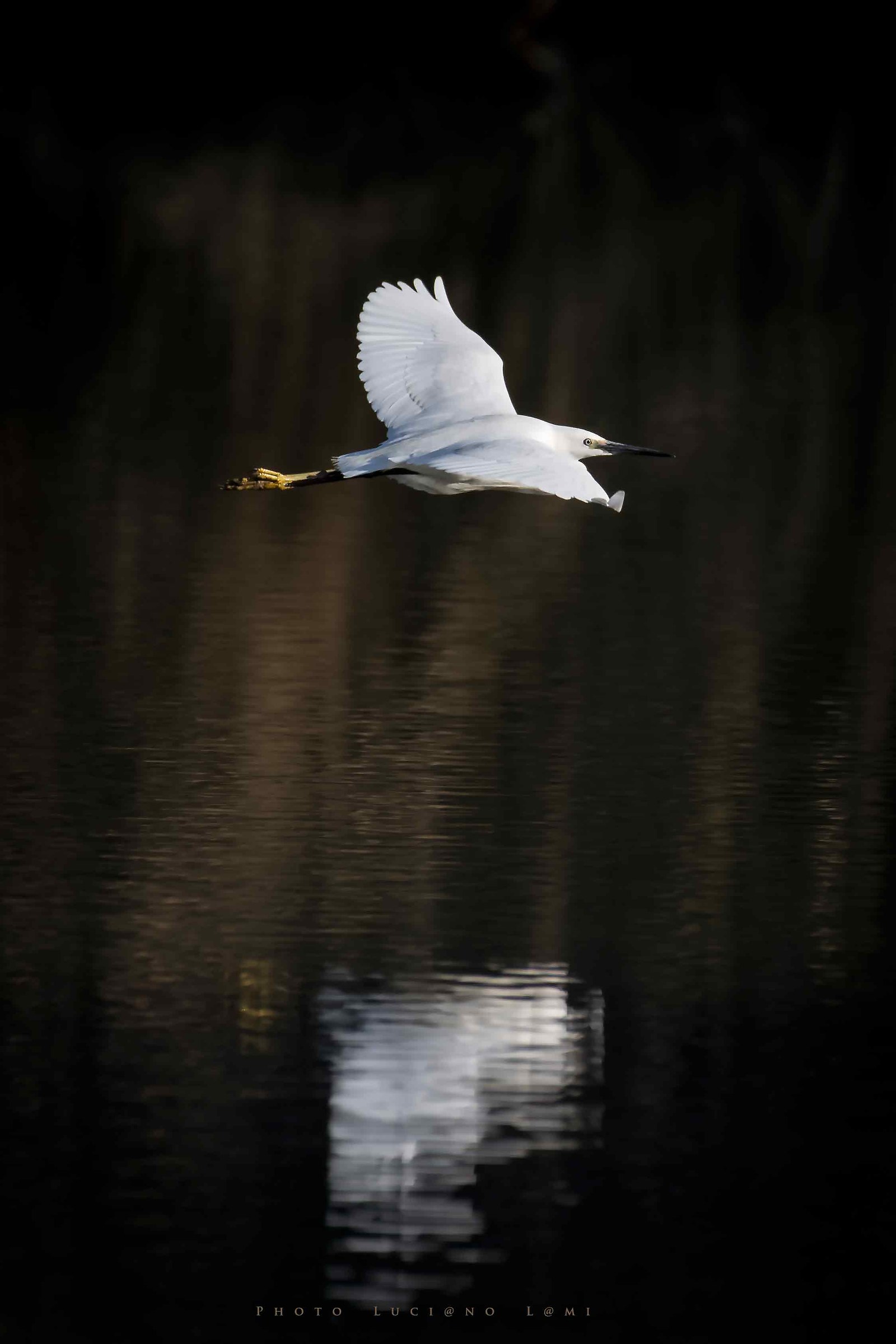 A flight between light and shadow