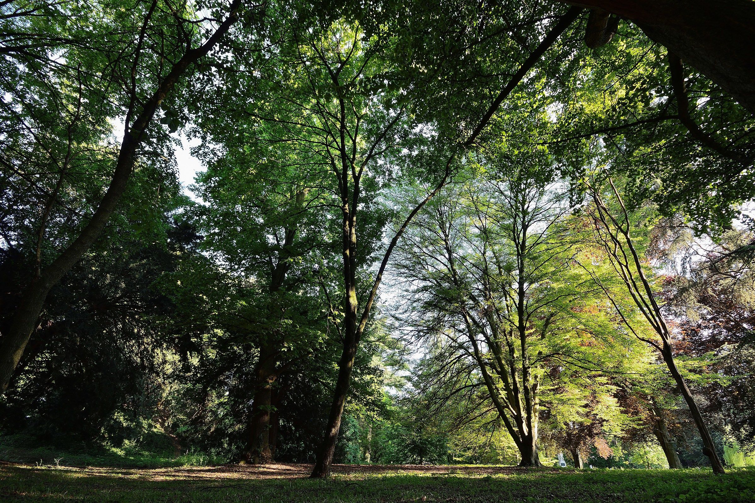 the villa Park Imperale (Galliera Veneta)