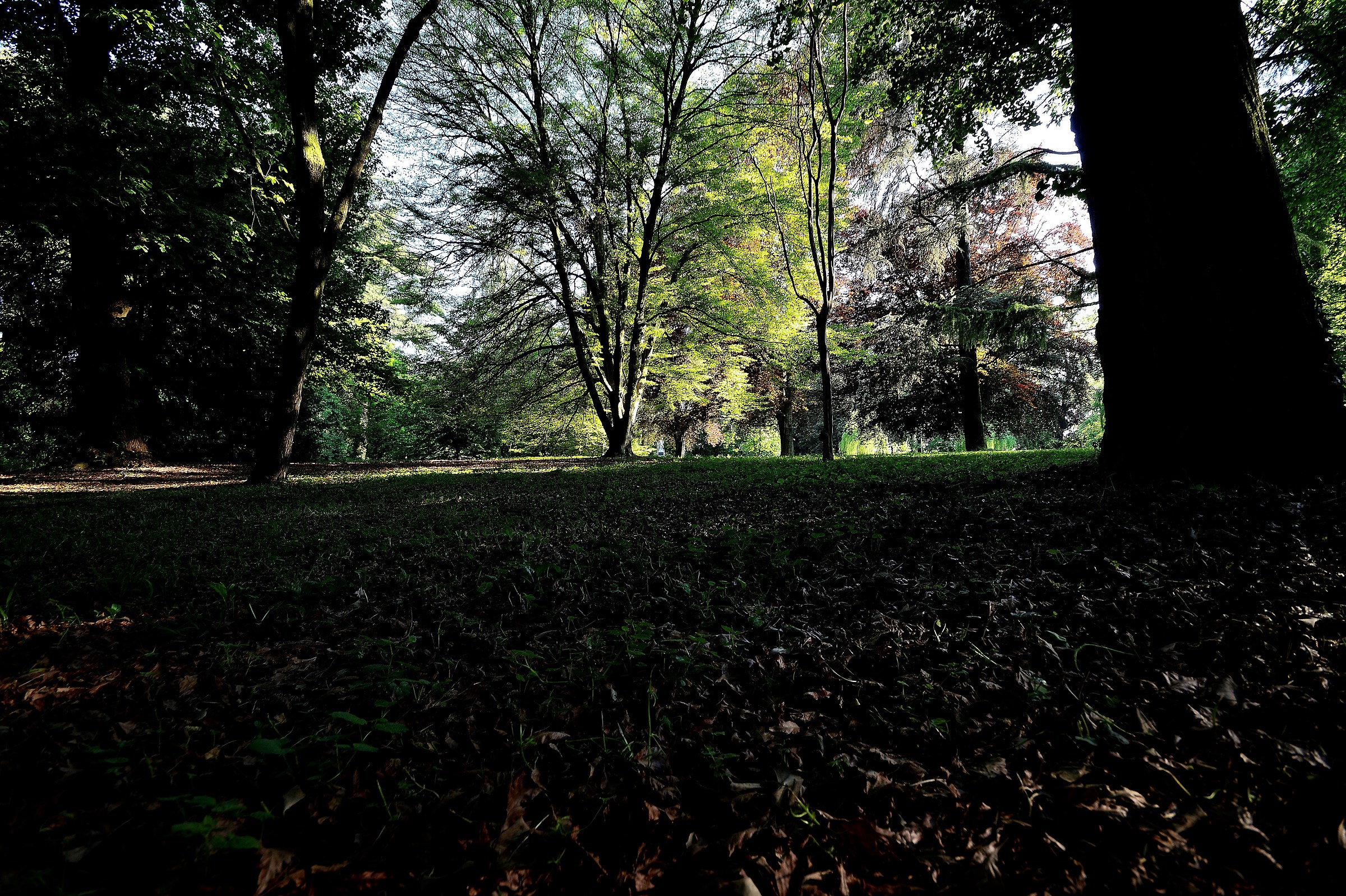 L Villa Imperiale Park (Galliera Veneta)