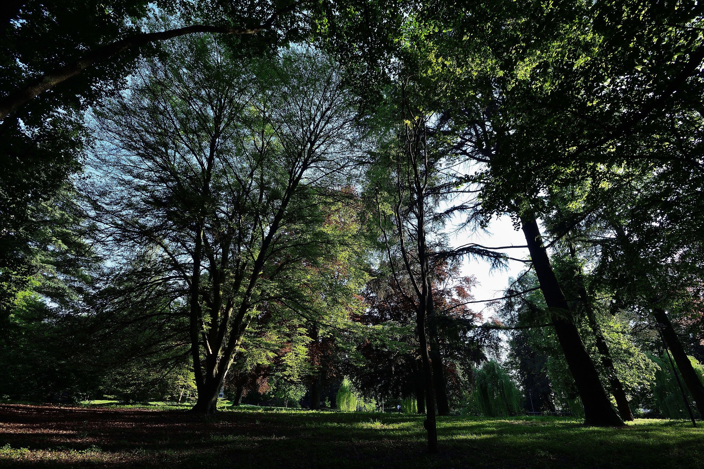 L Villa Imperiale Park (Galliera Veneta)