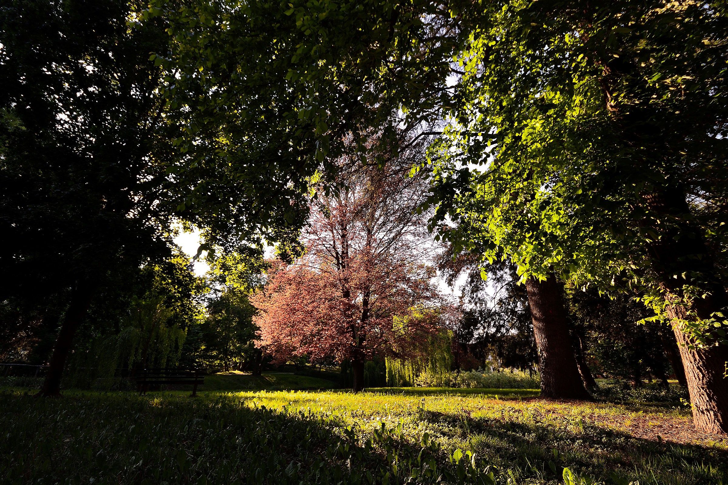 the villa Park Imperale (Galliera Veneta)