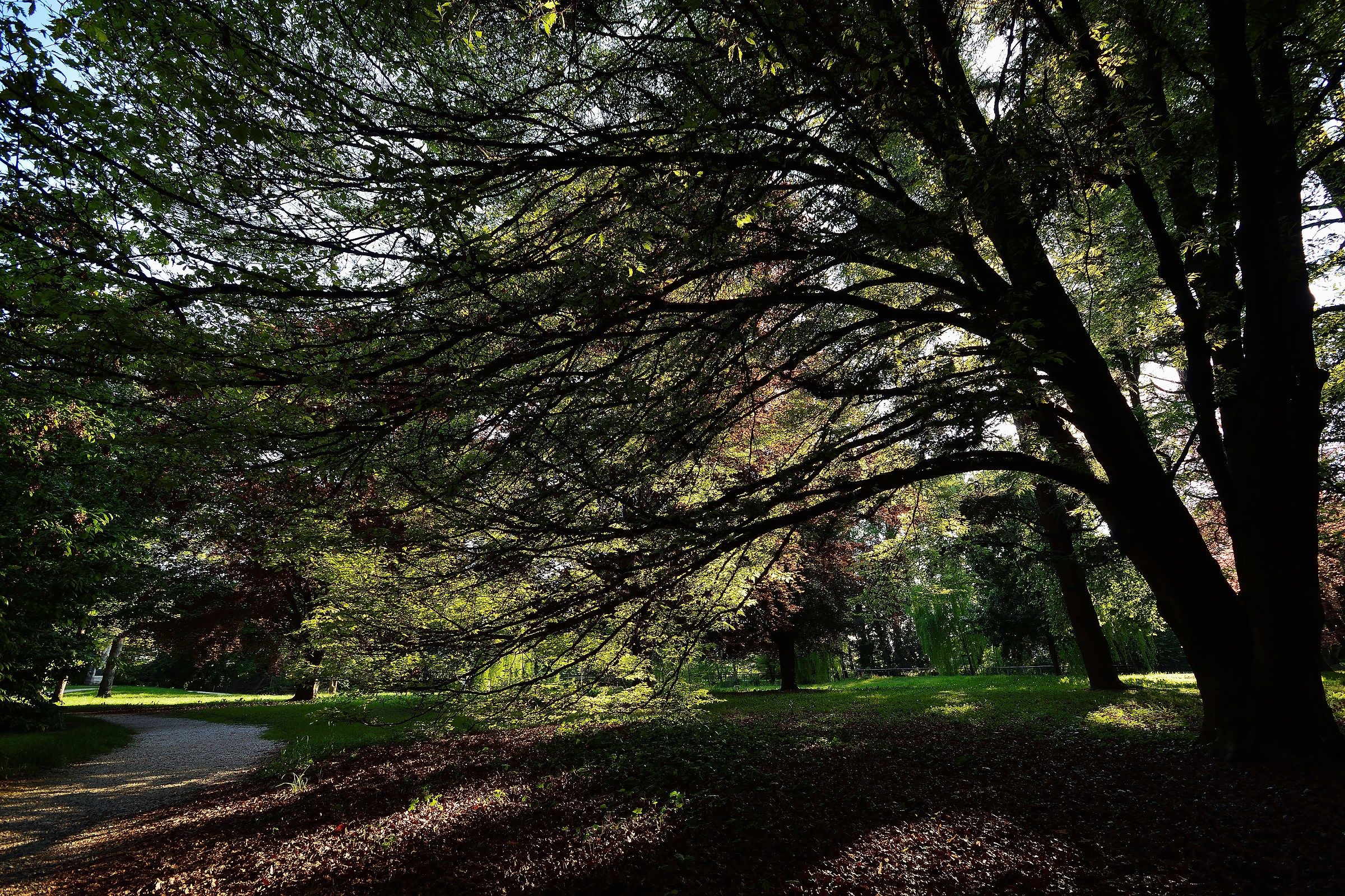 the villa Park Imperale (Galliera Veneta)
