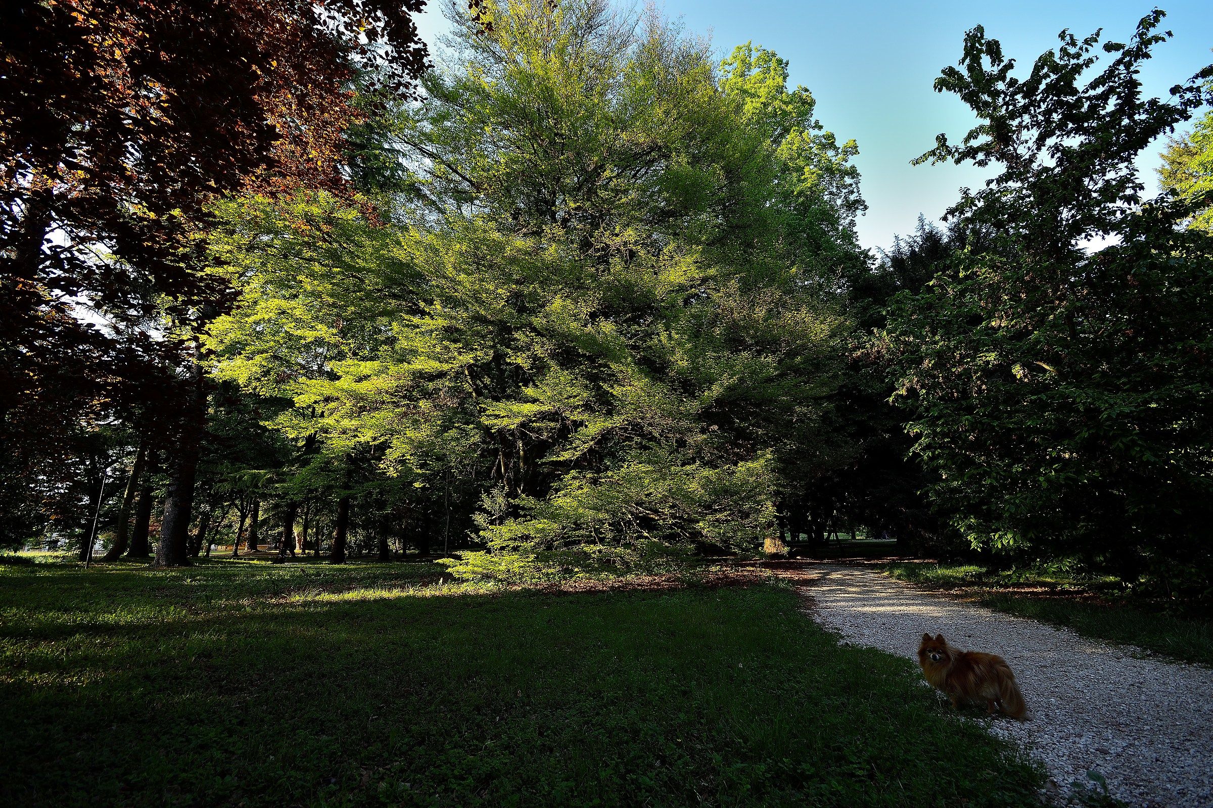the villa Park Imperale (Galliera Veneta)