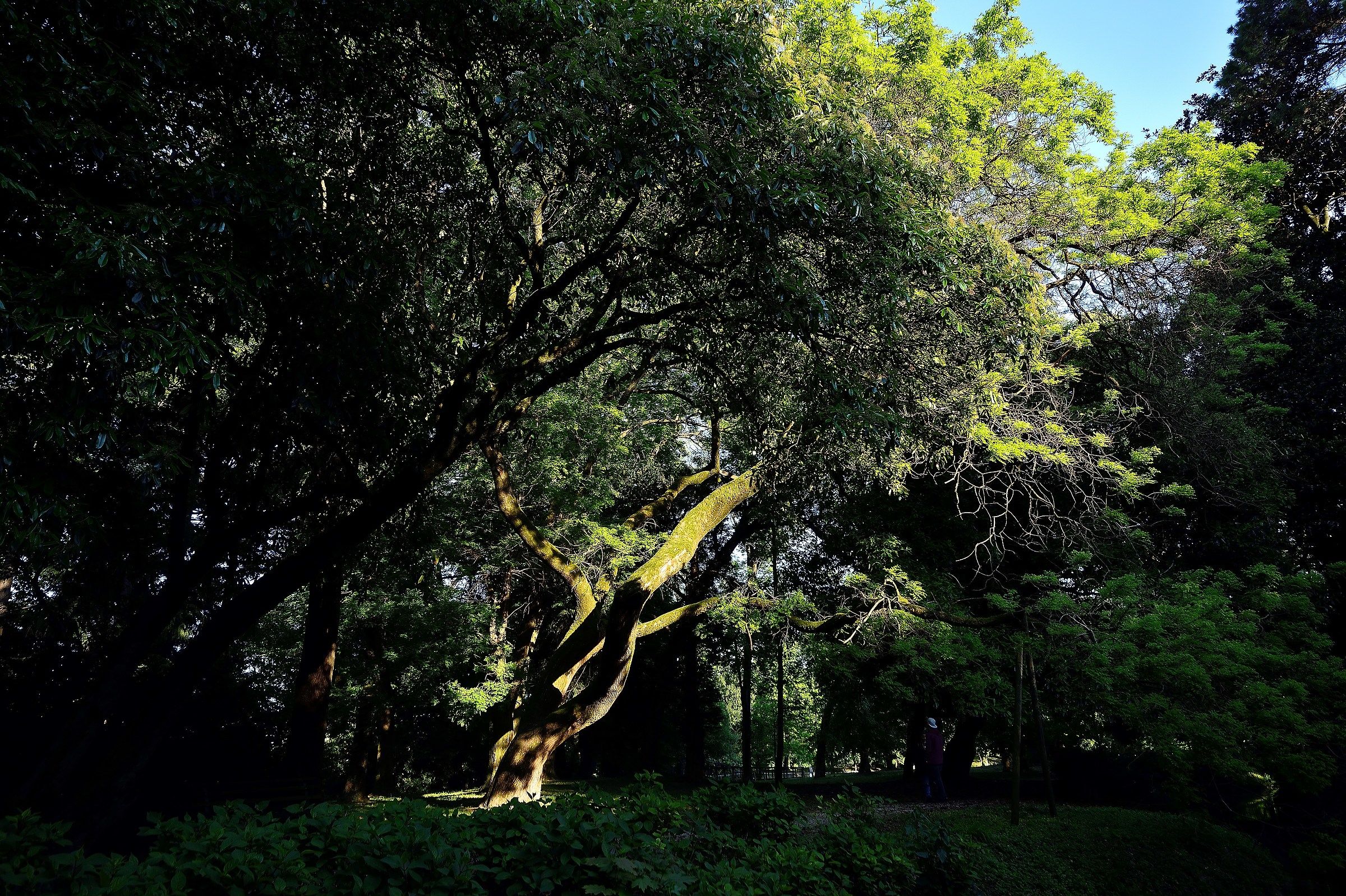 L Villa Imperiale Park (Galliera Veneta)