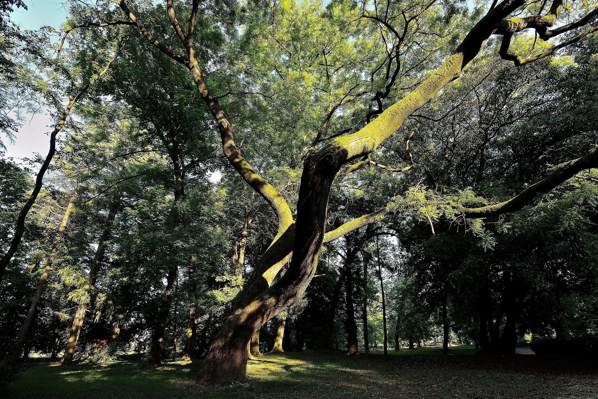 the villa Park Imperale (Galliera Veneta)