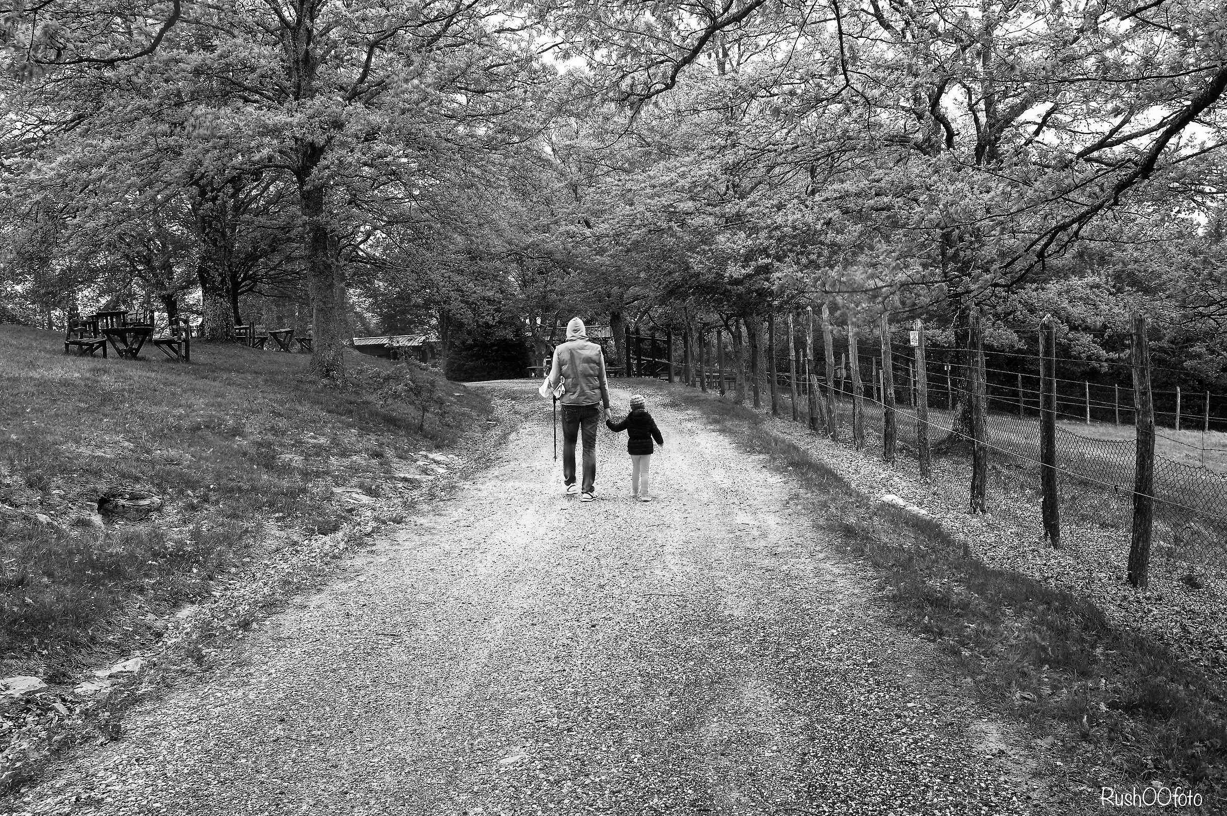 The giant and the little girl