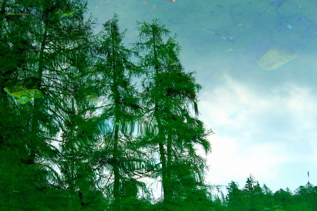 The nature is reflected