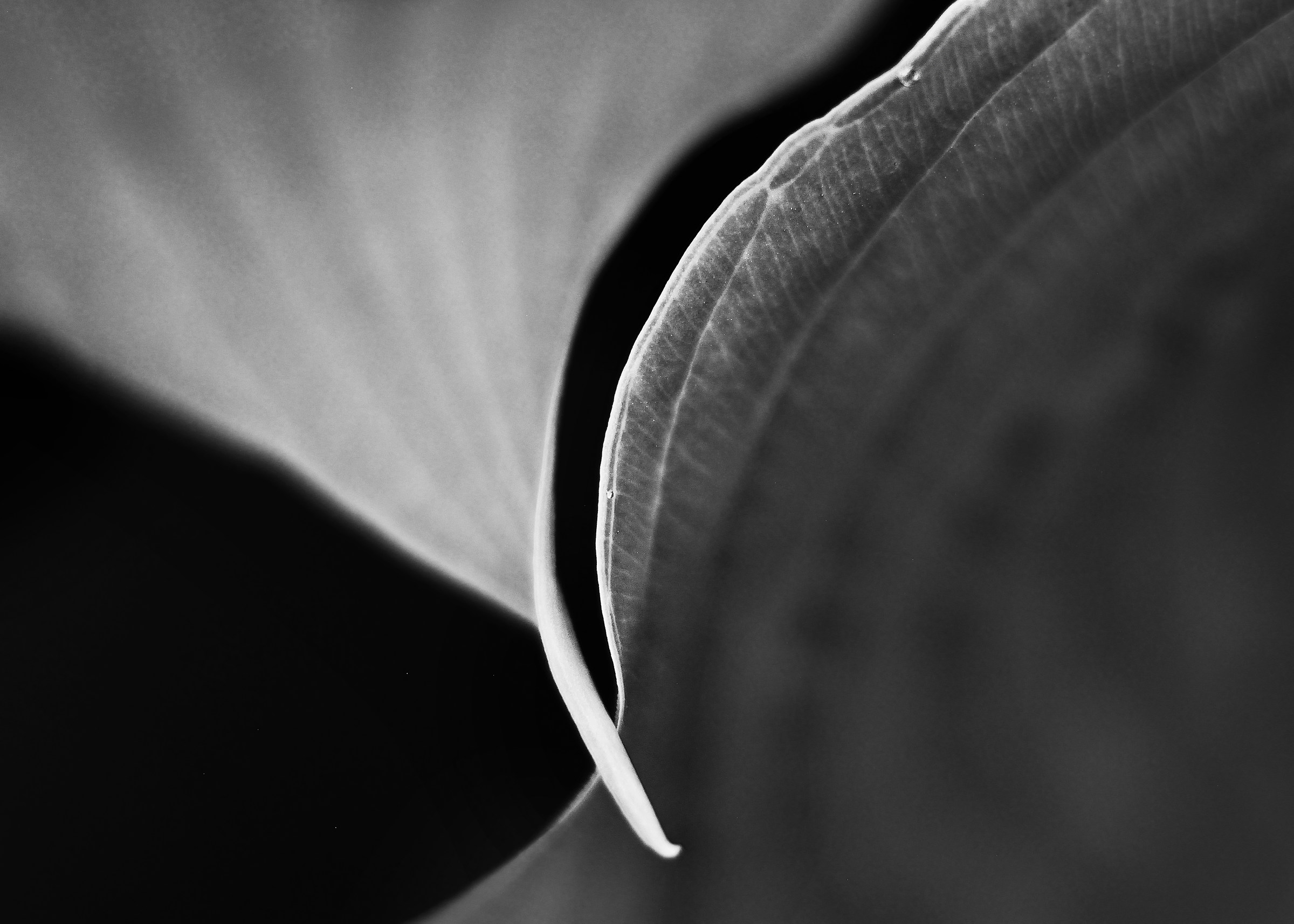 Line & Form 'Sovrapposizione'