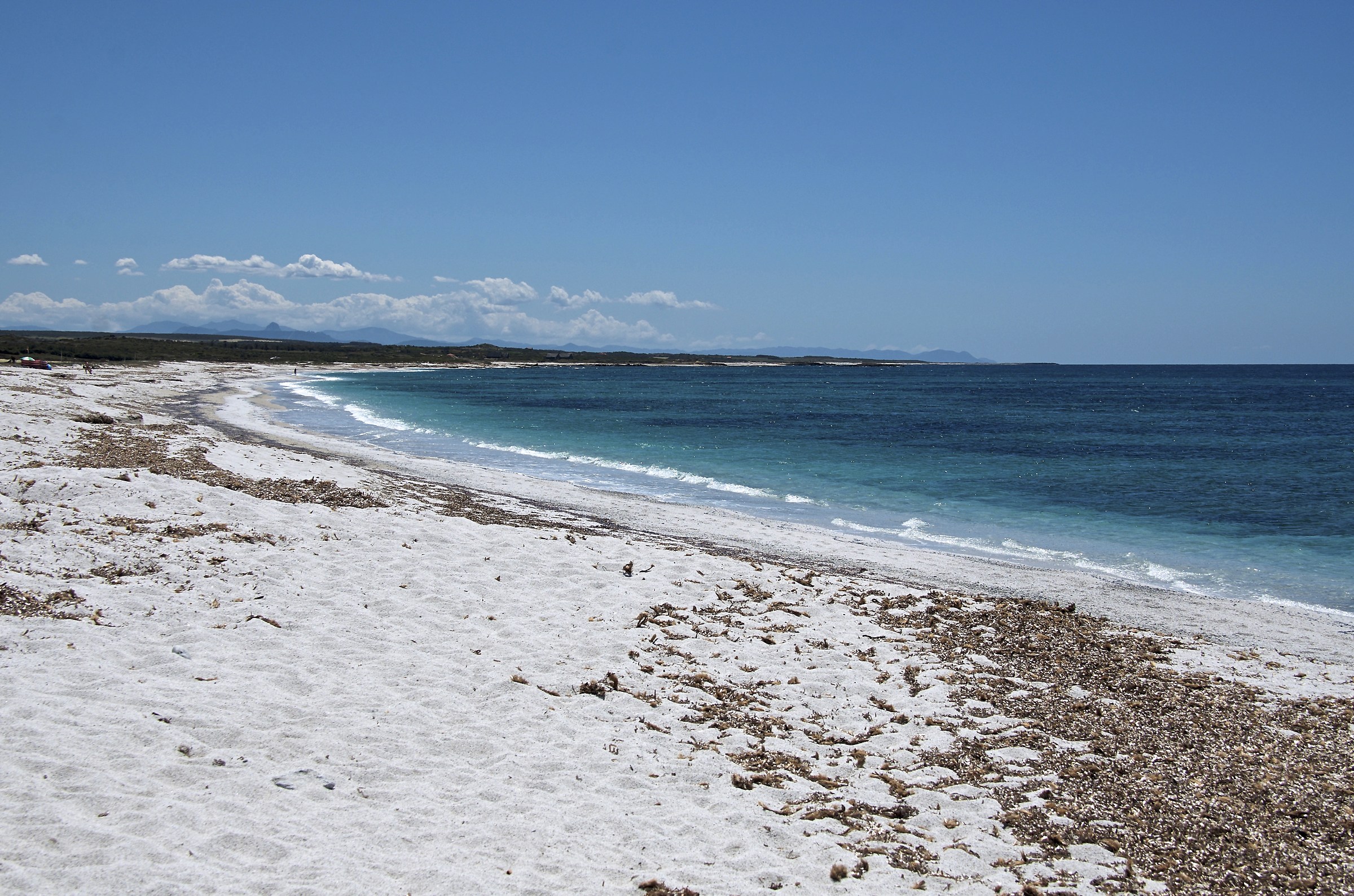 Mari Ermi - Cabras - OR