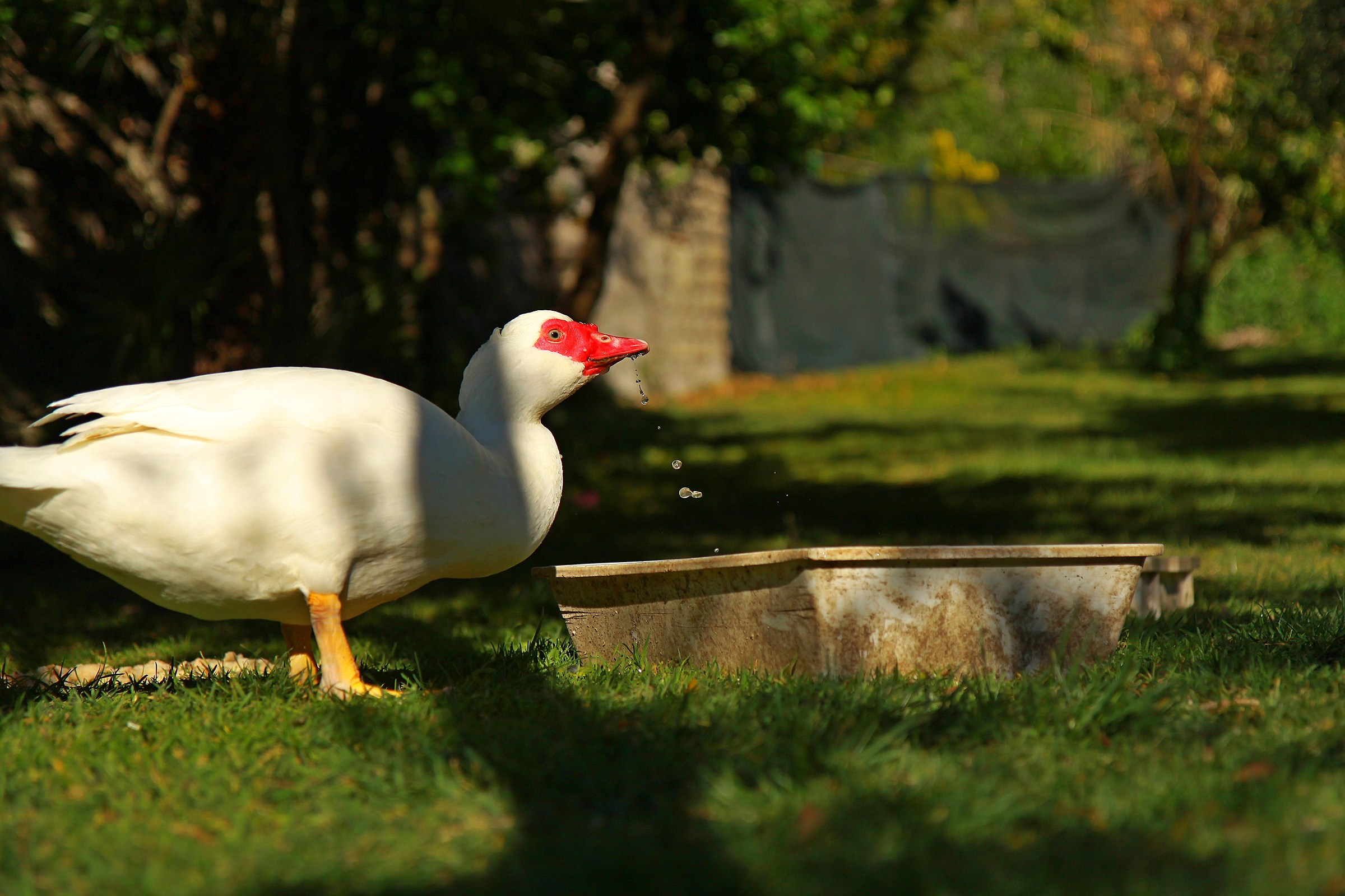 Una boccata...d'acqua