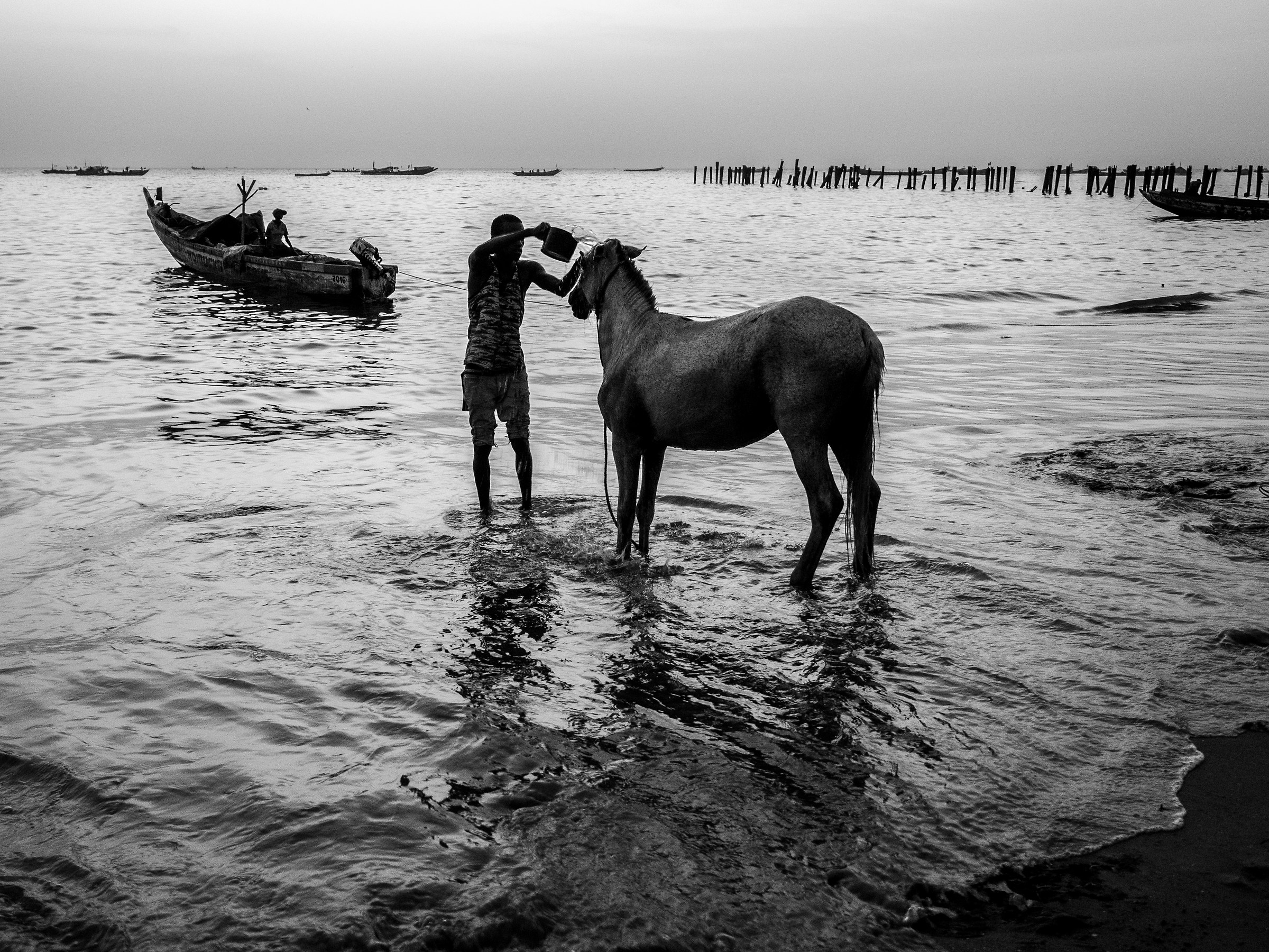 Lavando il cavallo a Mbour