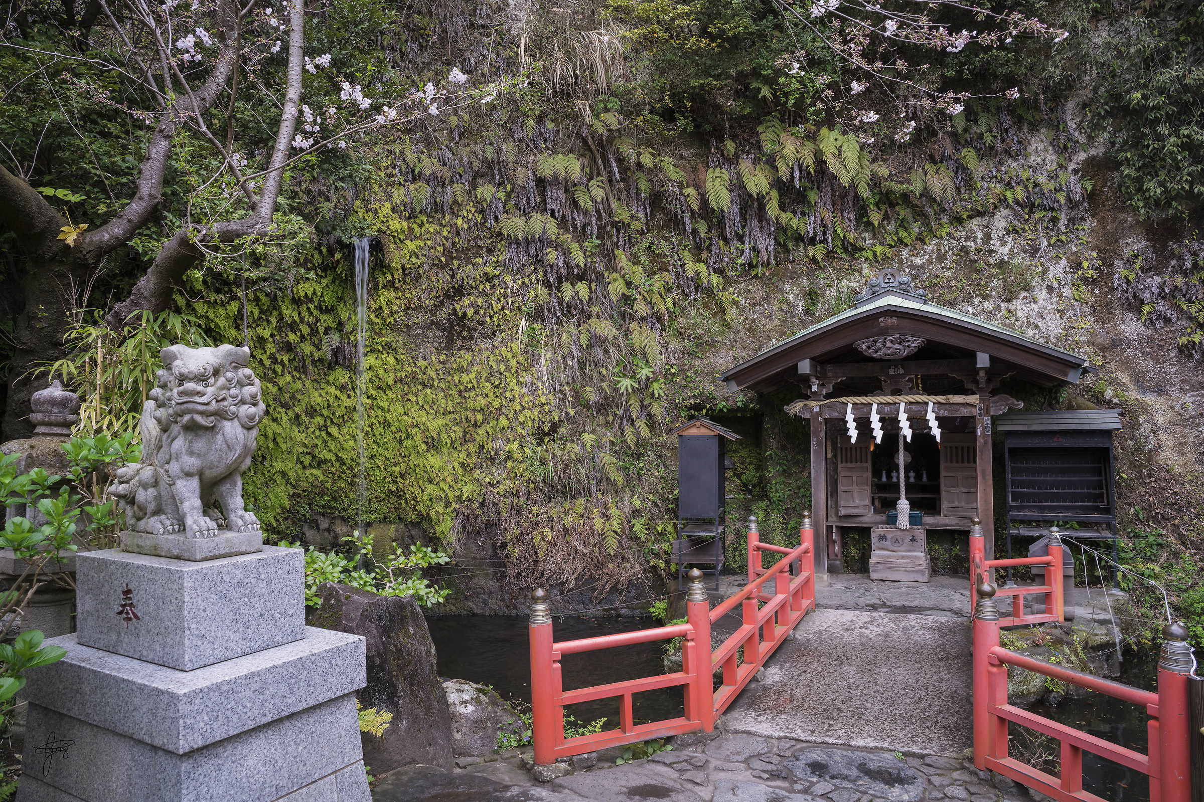 Along the Daibutsu Street