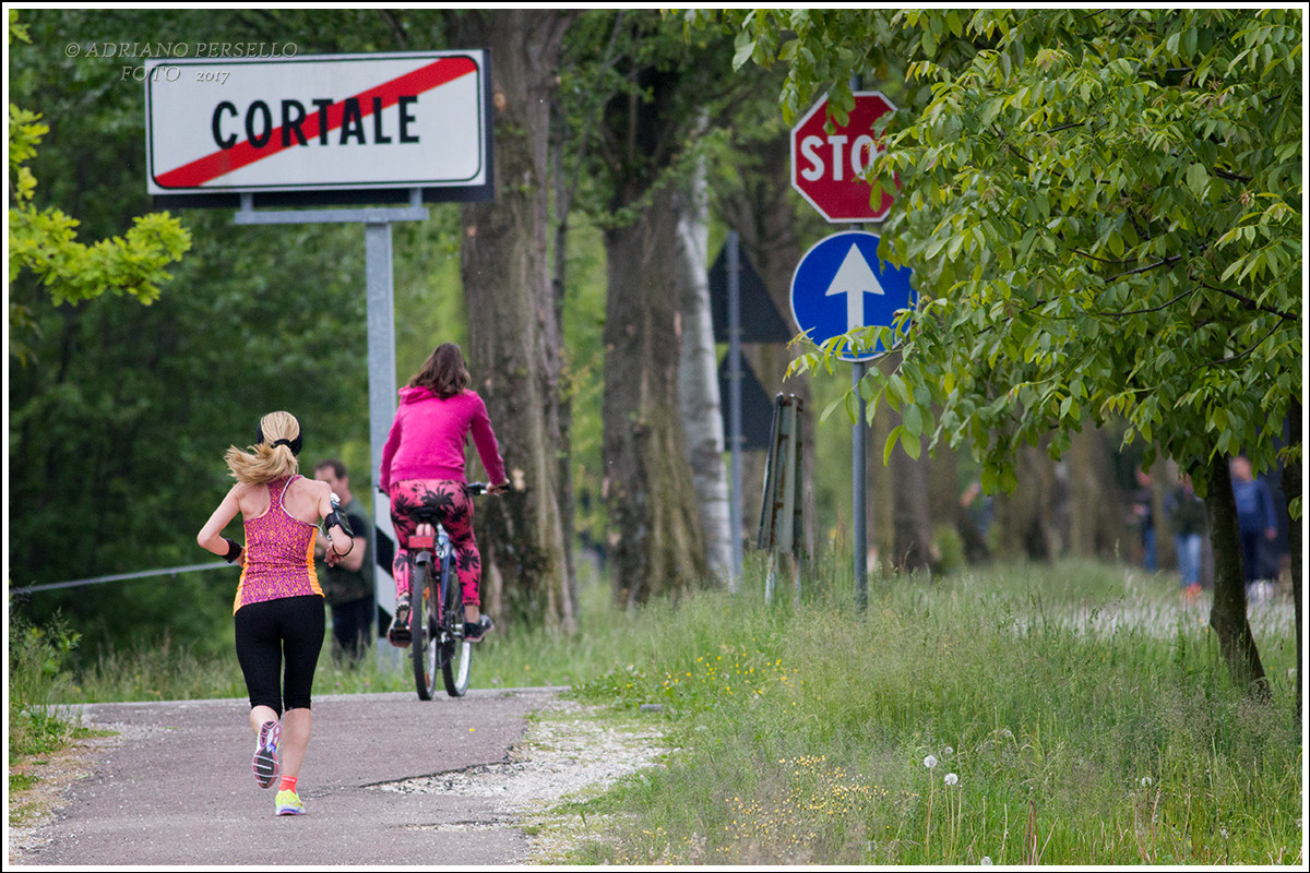 To walk along the royal