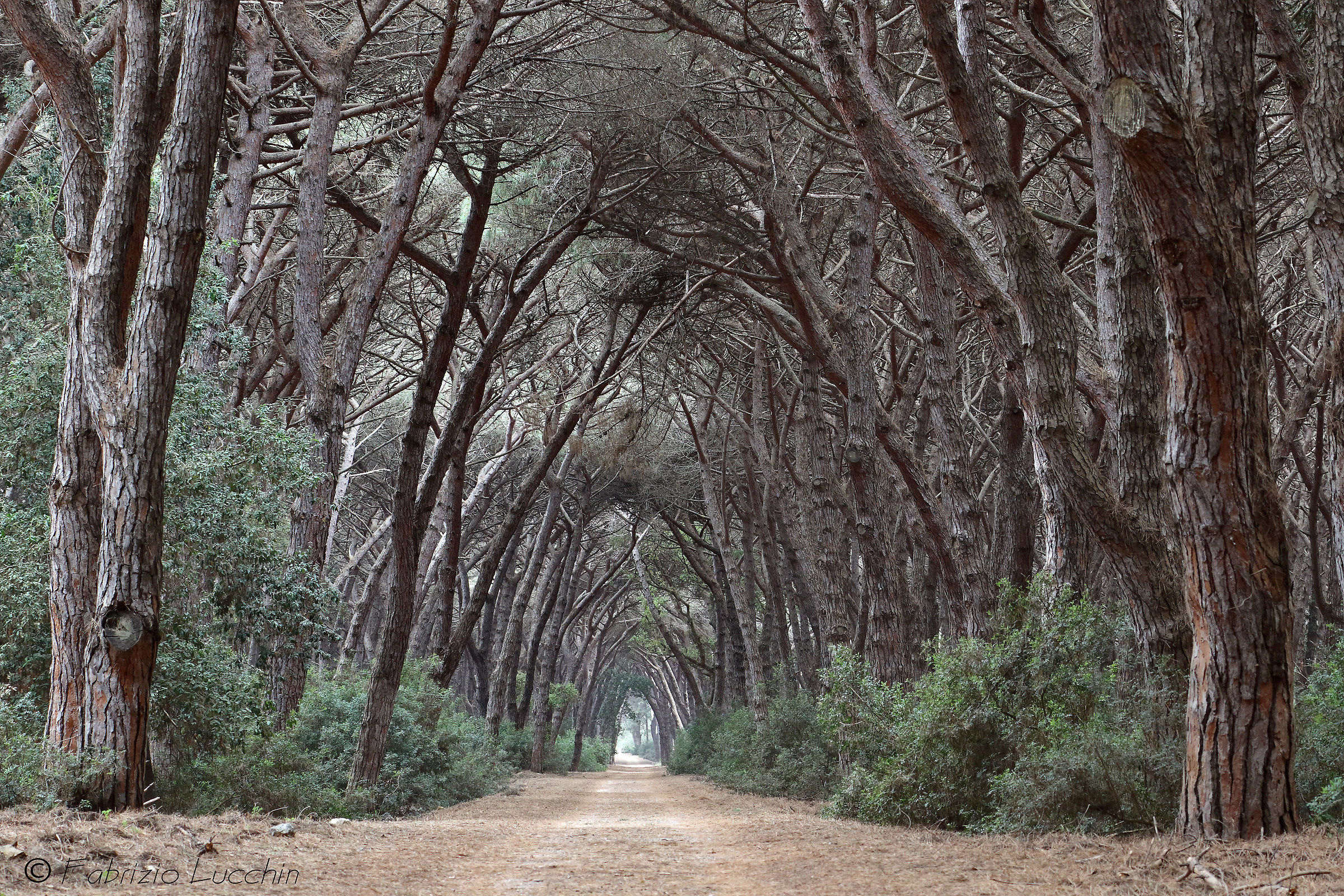 In fondo al tunnel .....