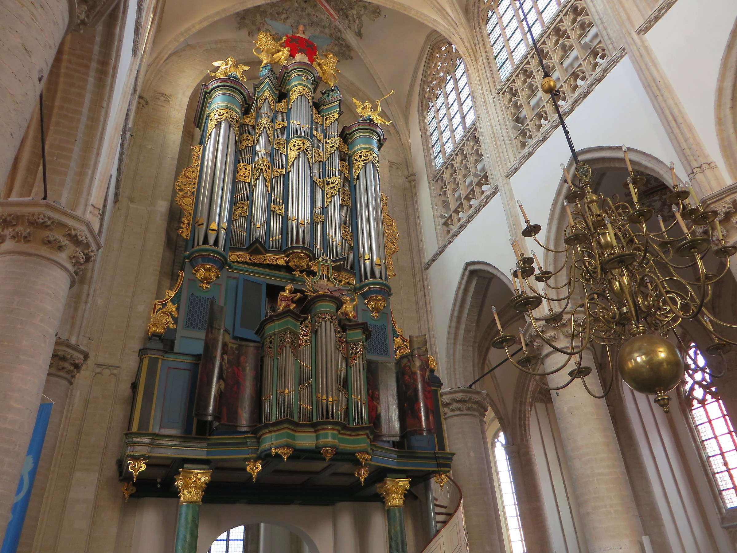 organ