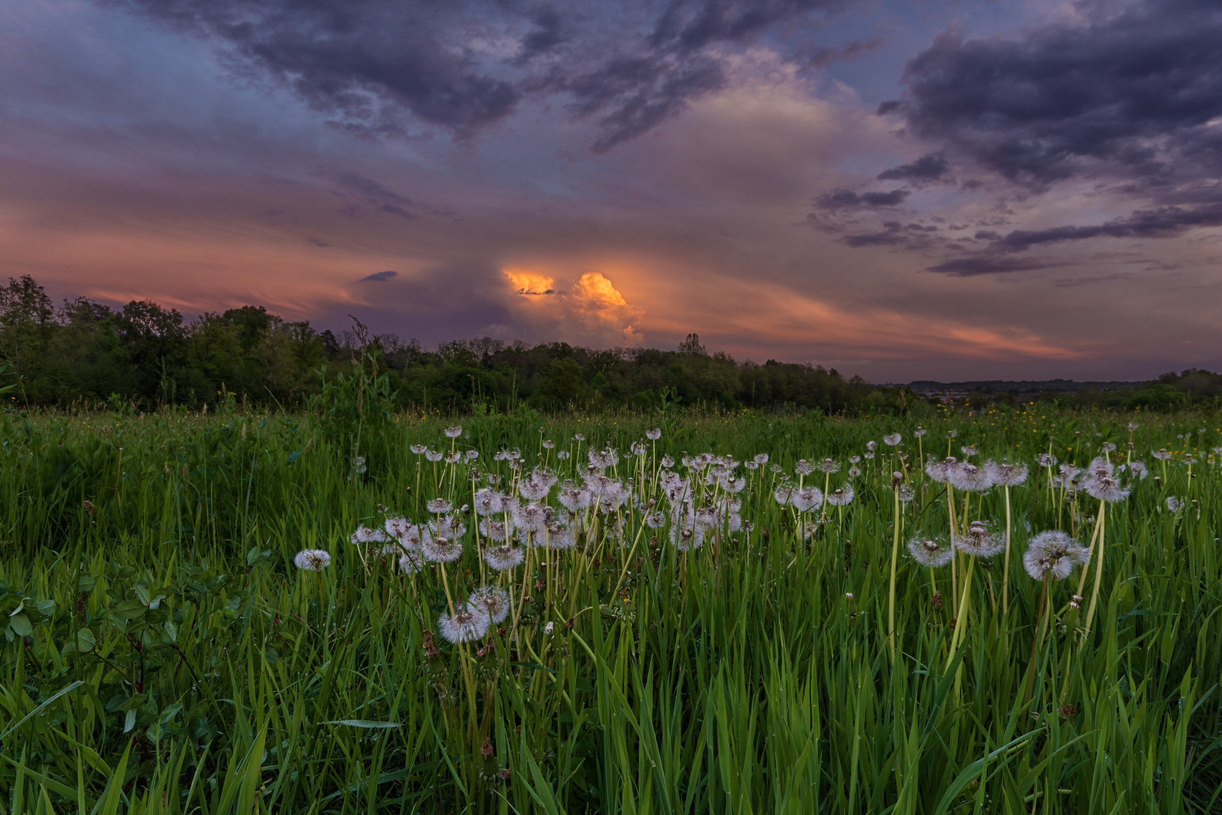 The calm before the storm