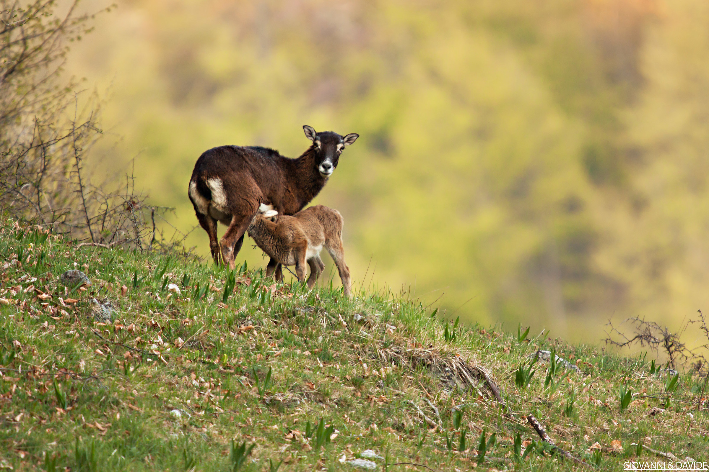Mmm ... that hungry!
