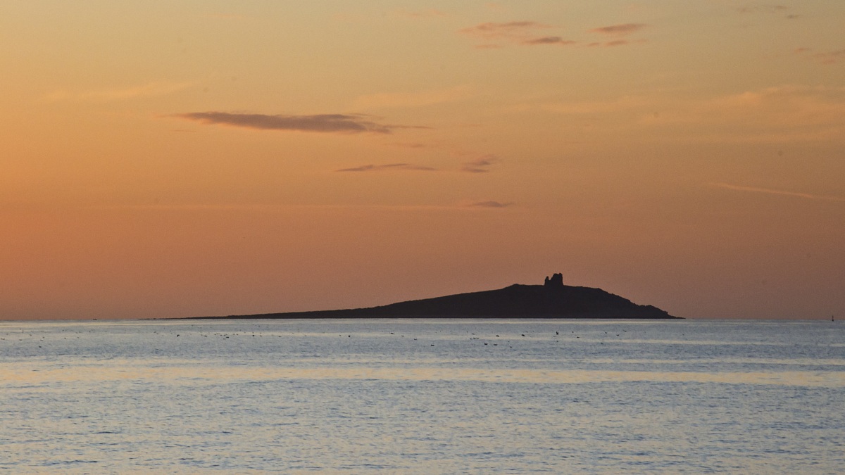 silhouette of the island of females (pa)