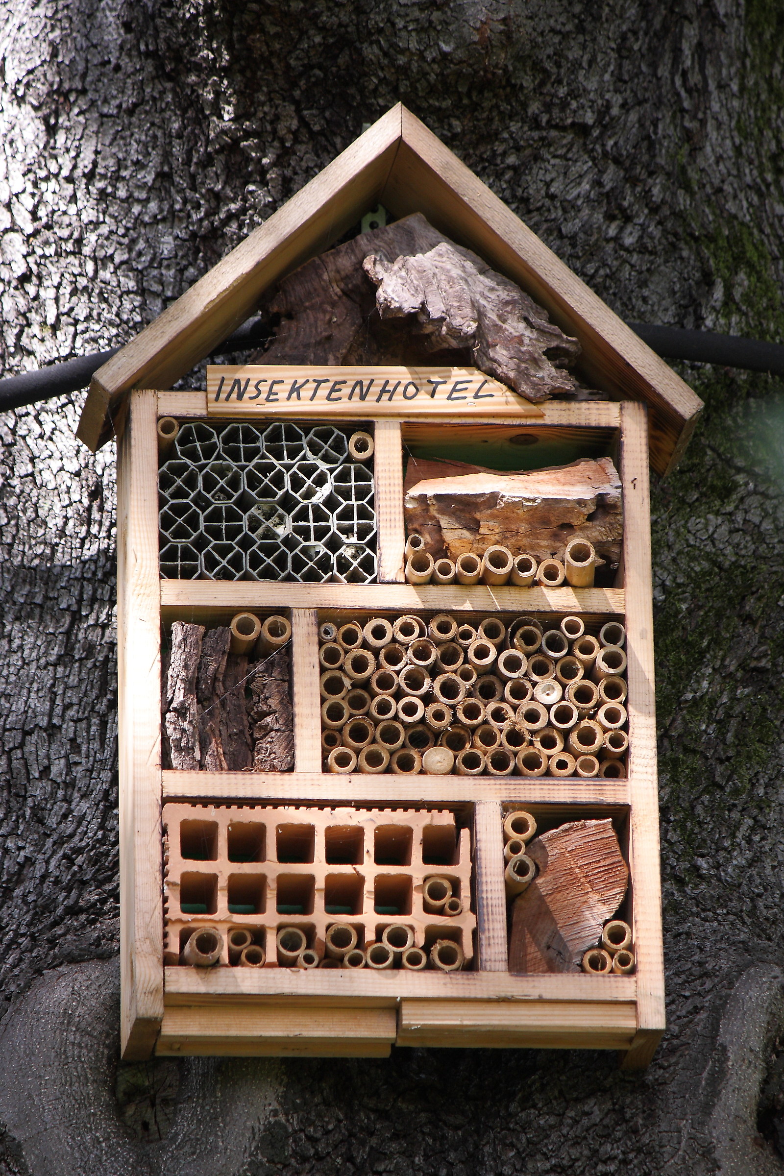 Grand Hotel Insekten