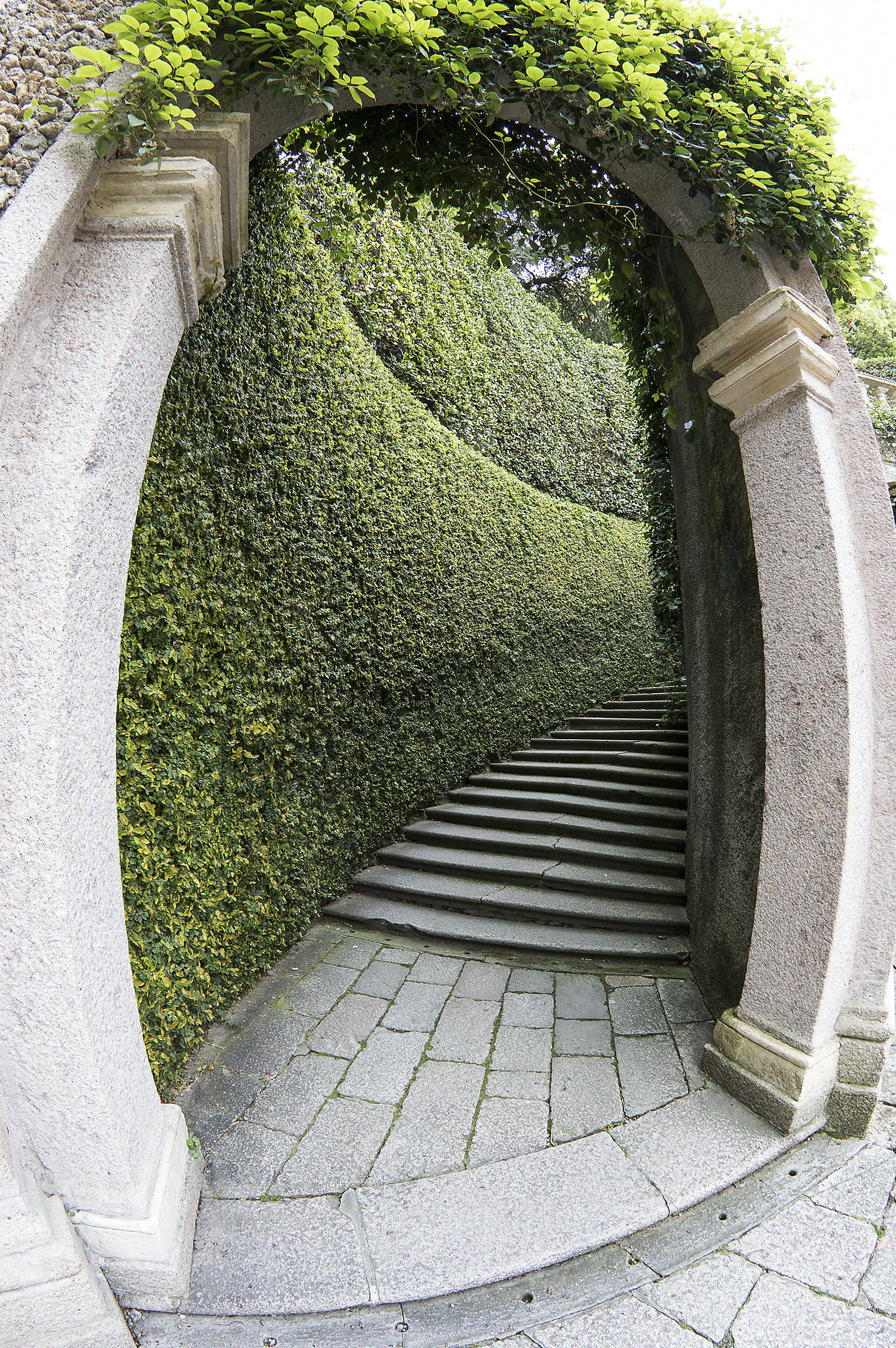 Accesso al giadrino - Palazzo Borromreo