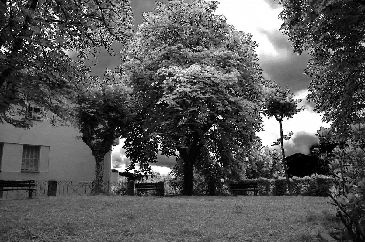 The garden of wonders